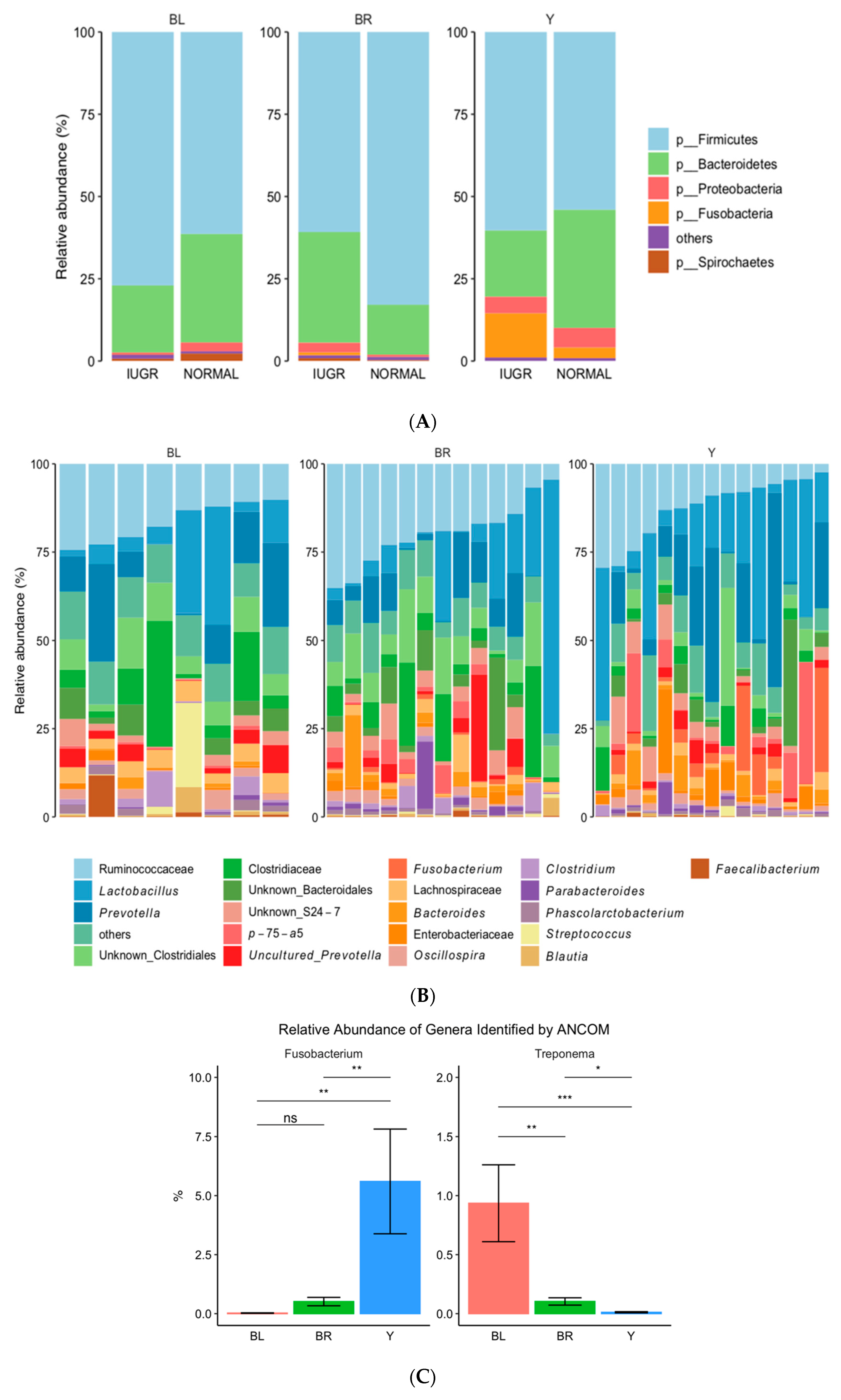Animals 10 01073 g006