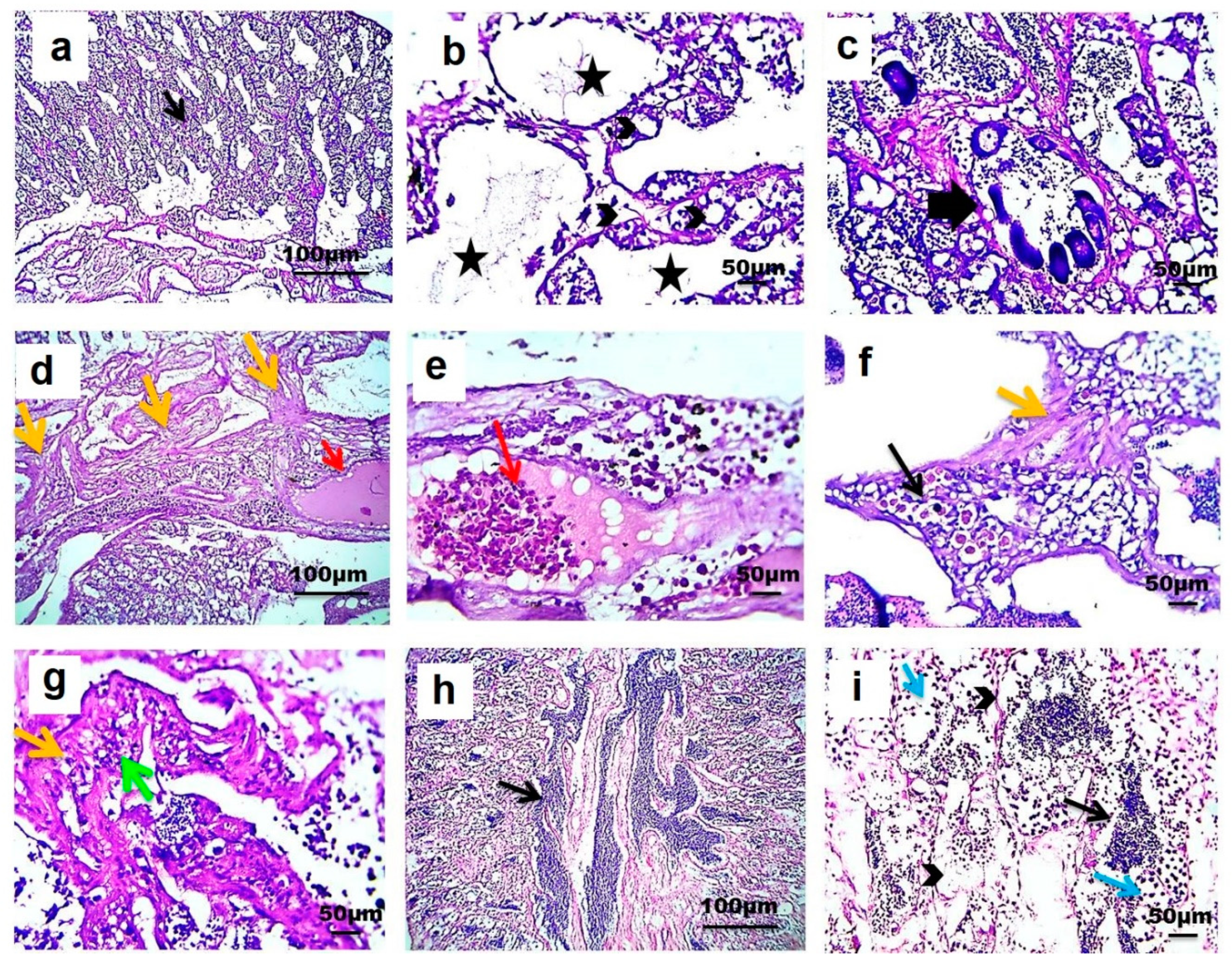 Animals 10 01475 g006