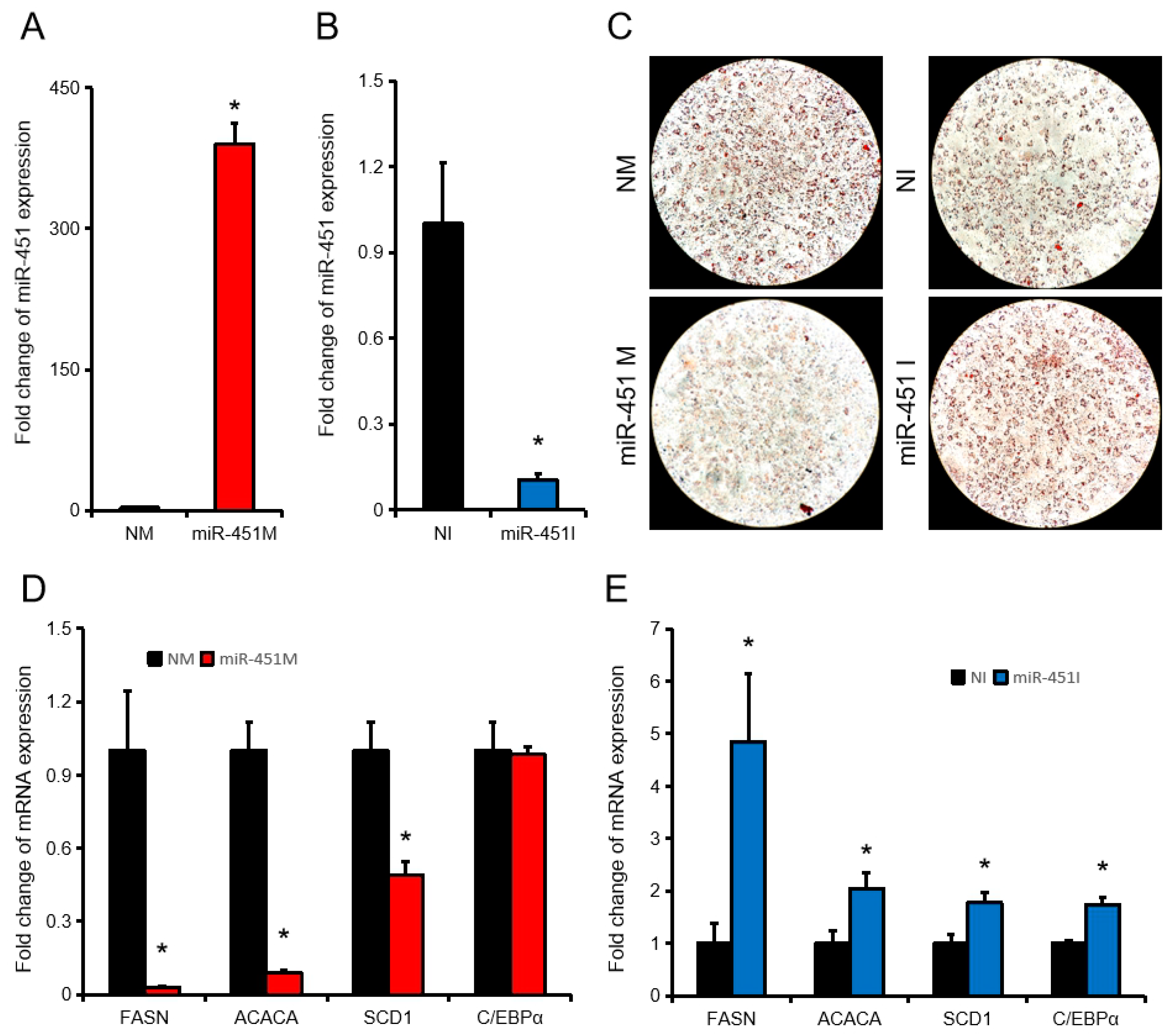 Animals 10 01891 g002