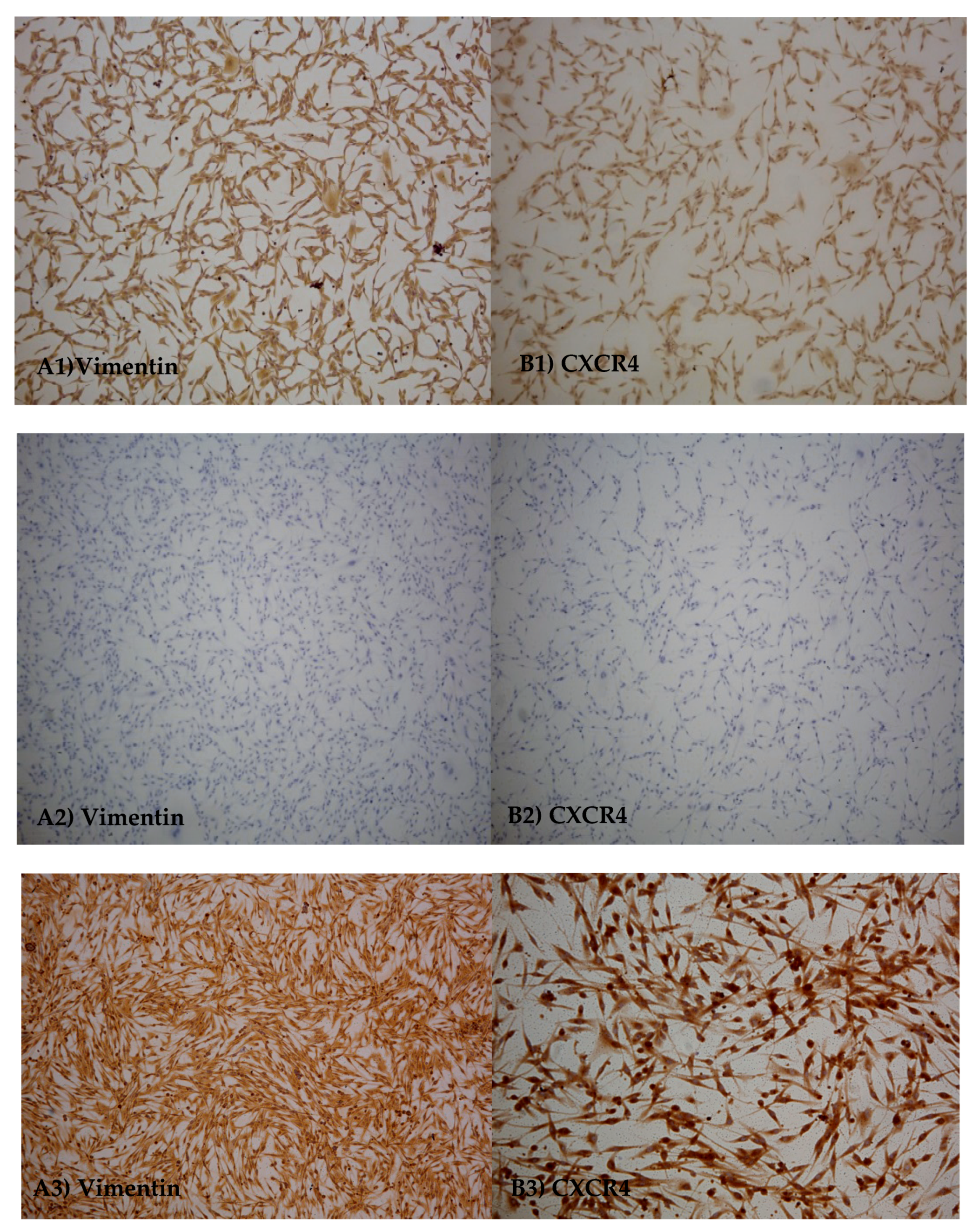 Animals 10 01981 g004