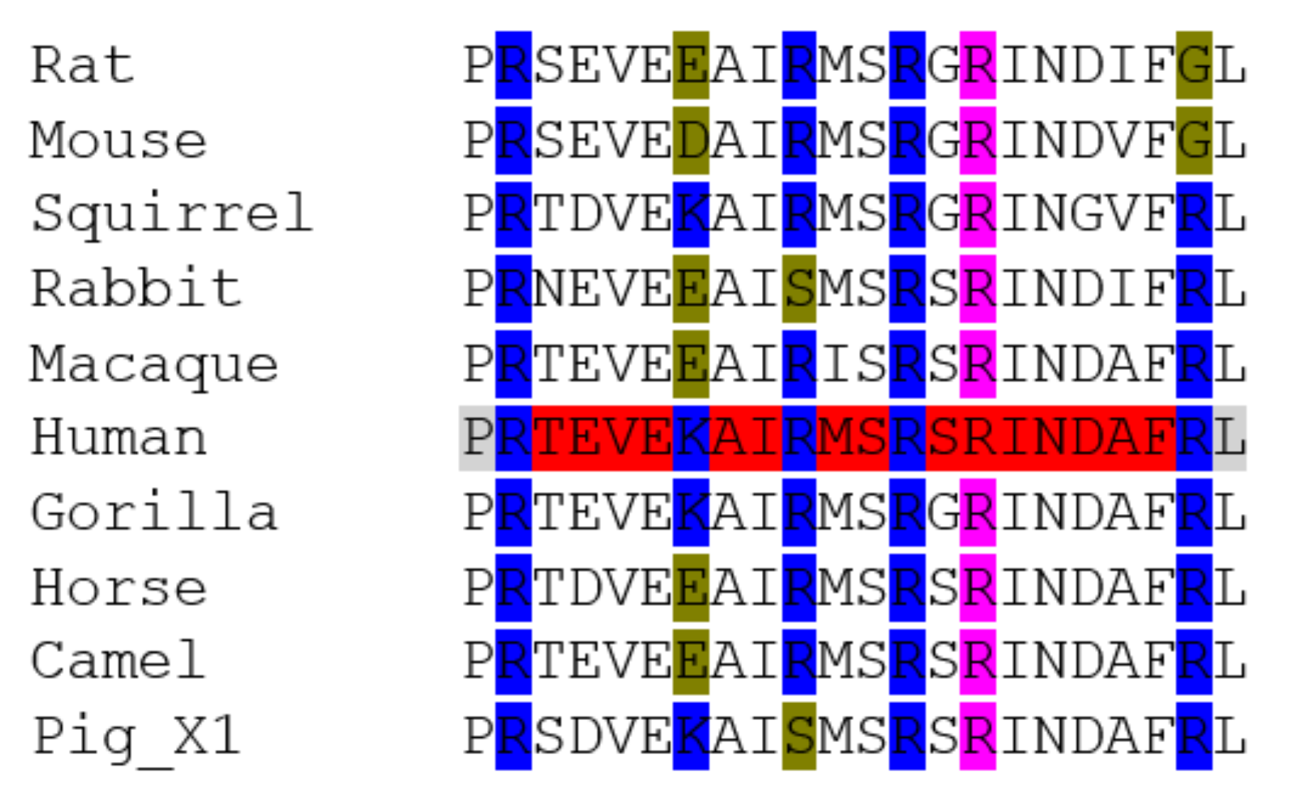 Animals 11 00797 g002