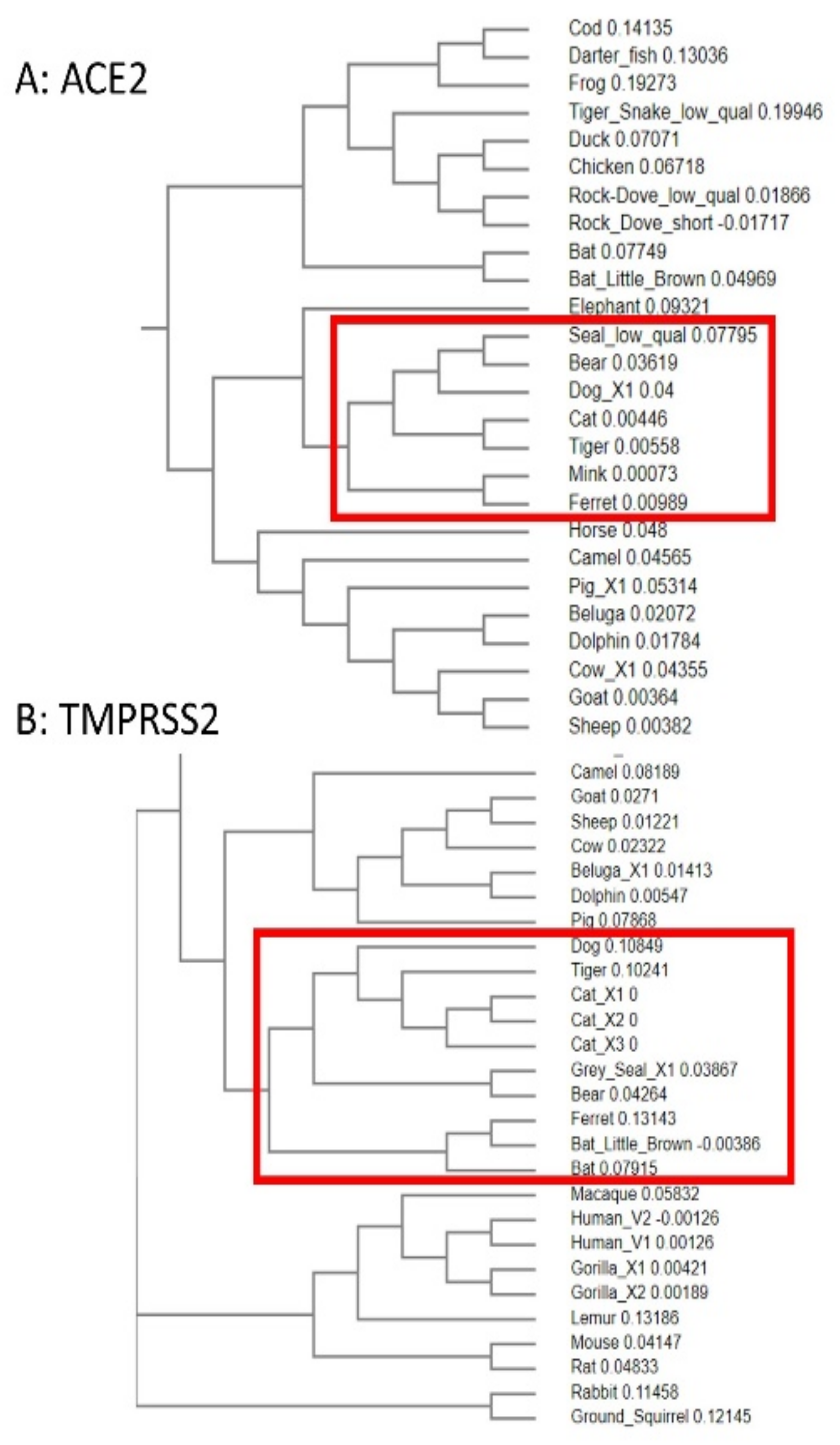 Animals 11 00797 g007