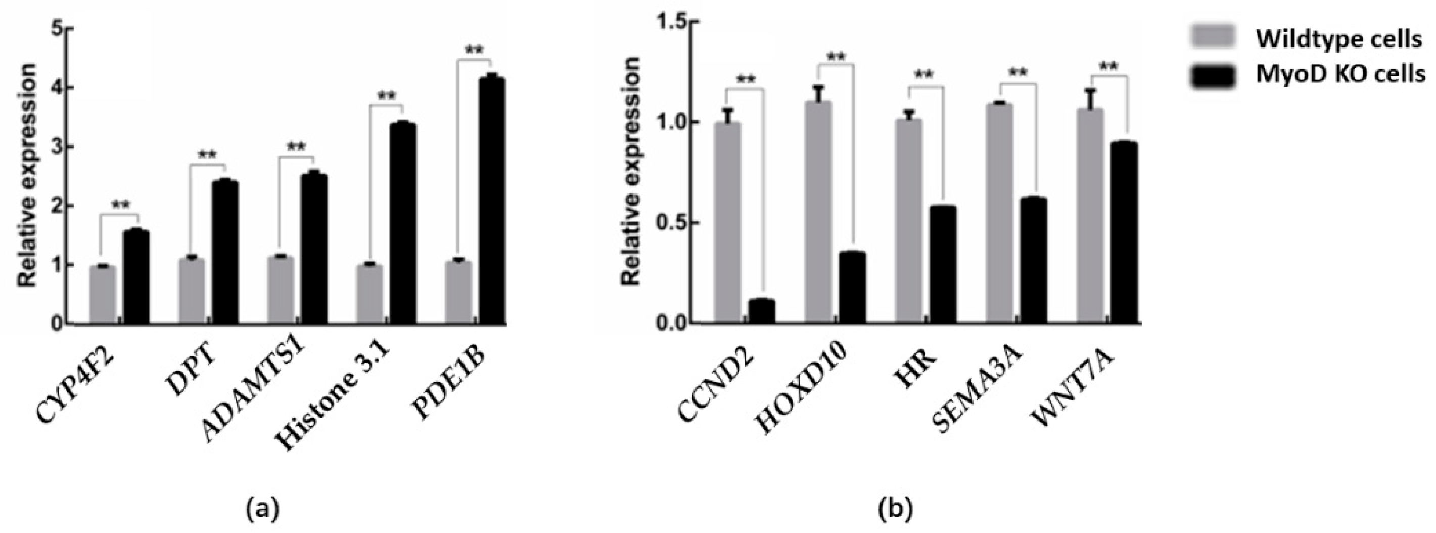 Animals 12 02571 g007