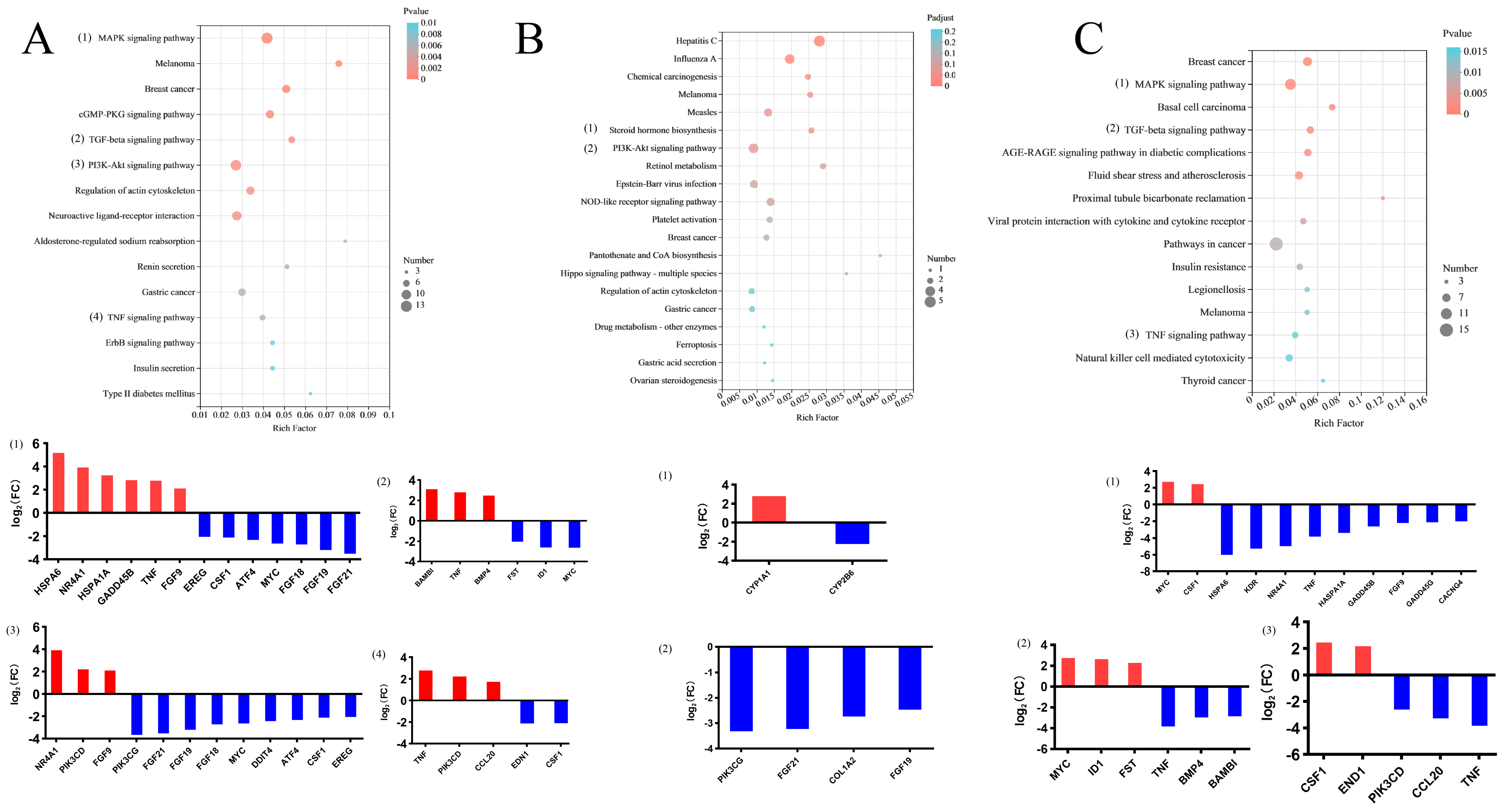 Animals 12 02621 g003