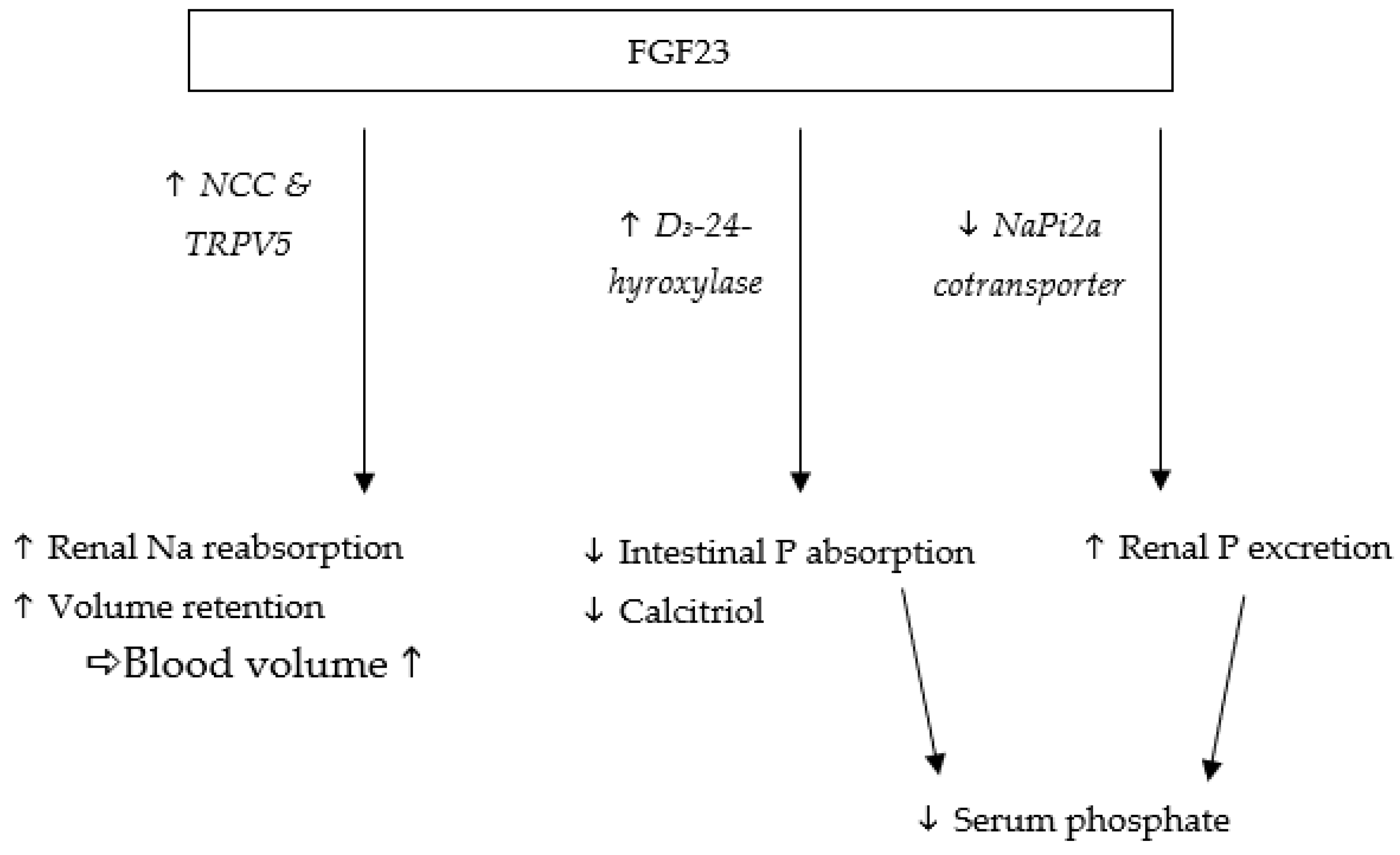 Animals 12 03195 g001