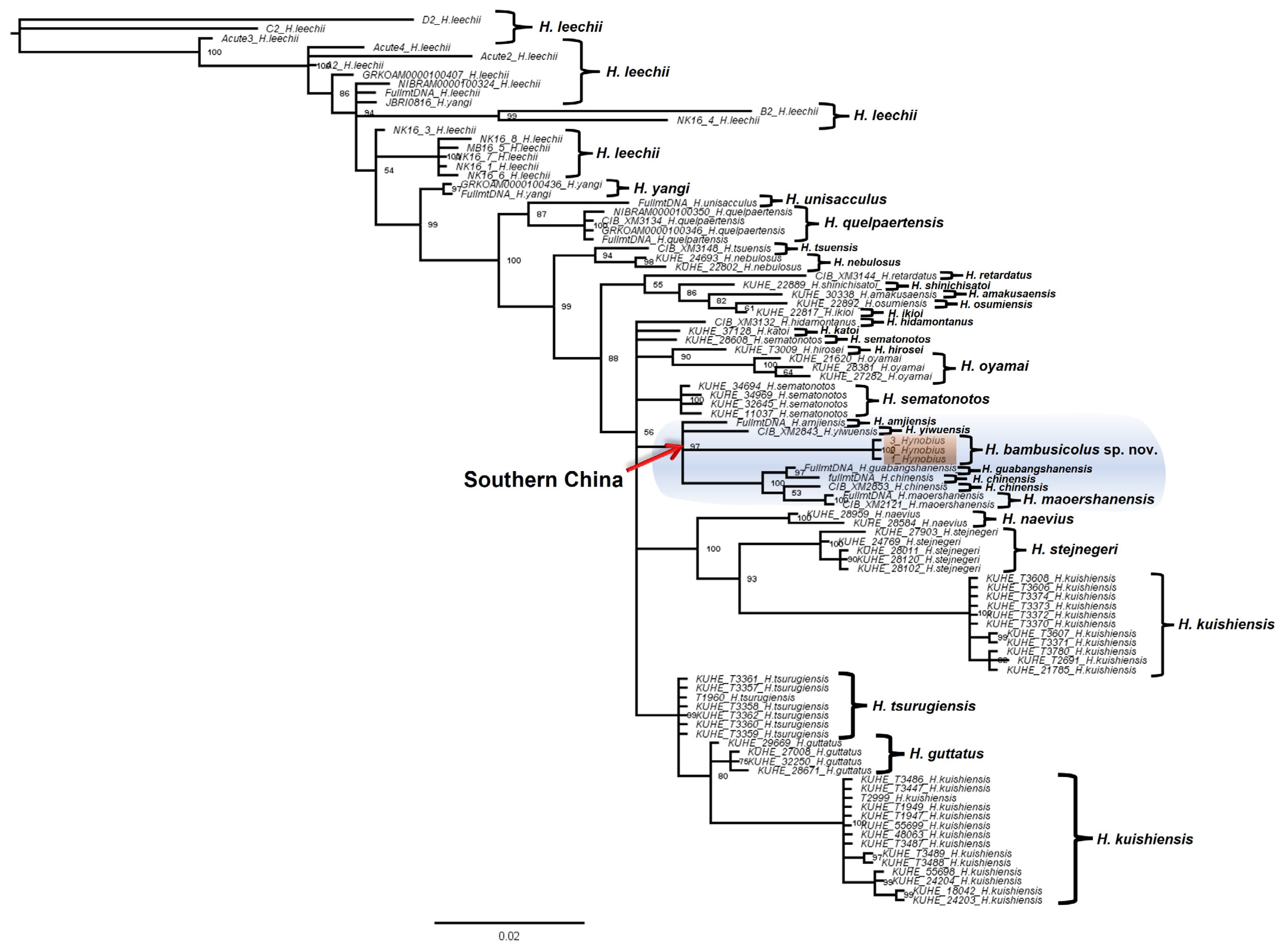 Animals 13 01661 g001 Animals 13 01661 g001