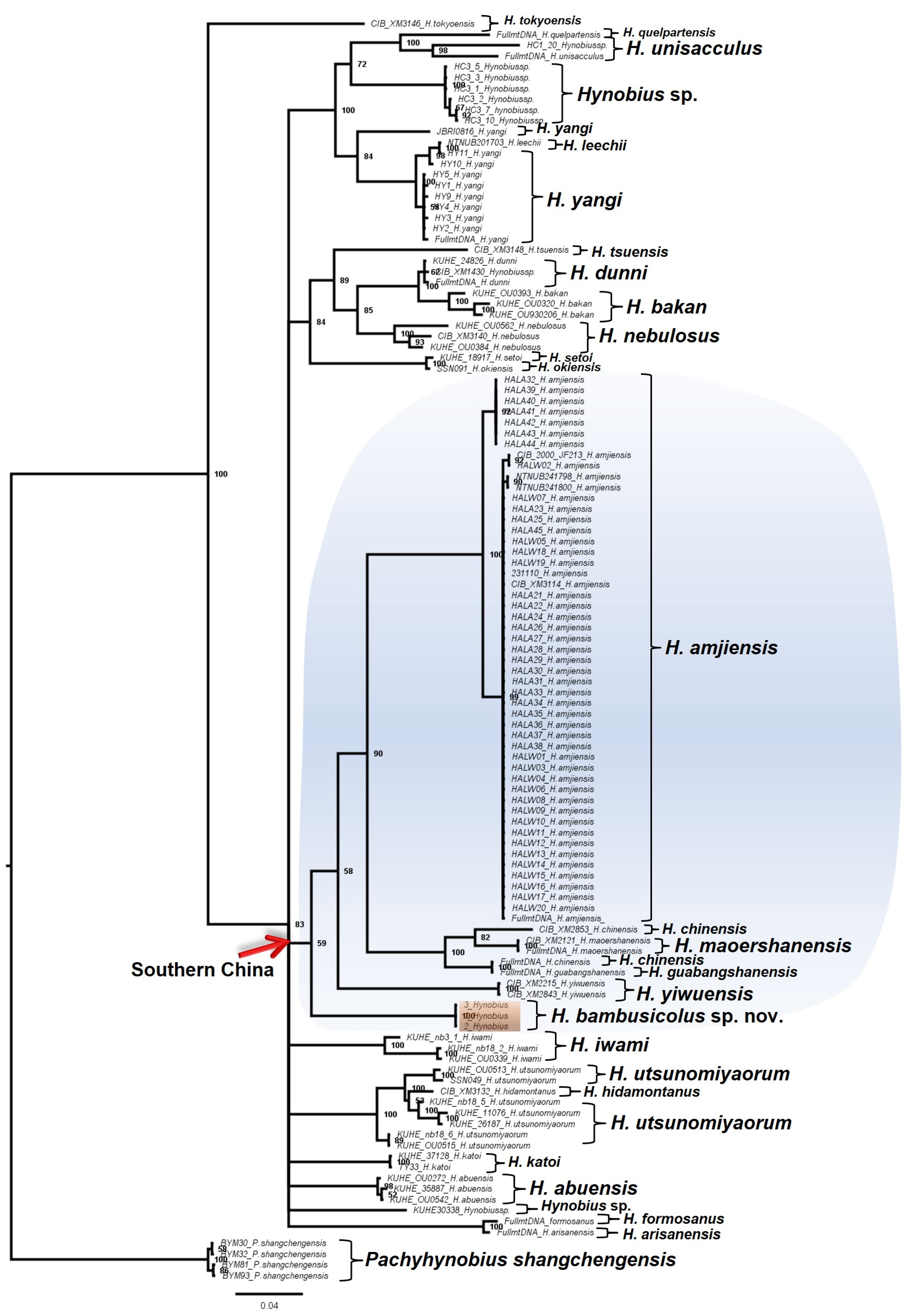 Animals 13 01661 g002 Animals 13 01661 g002