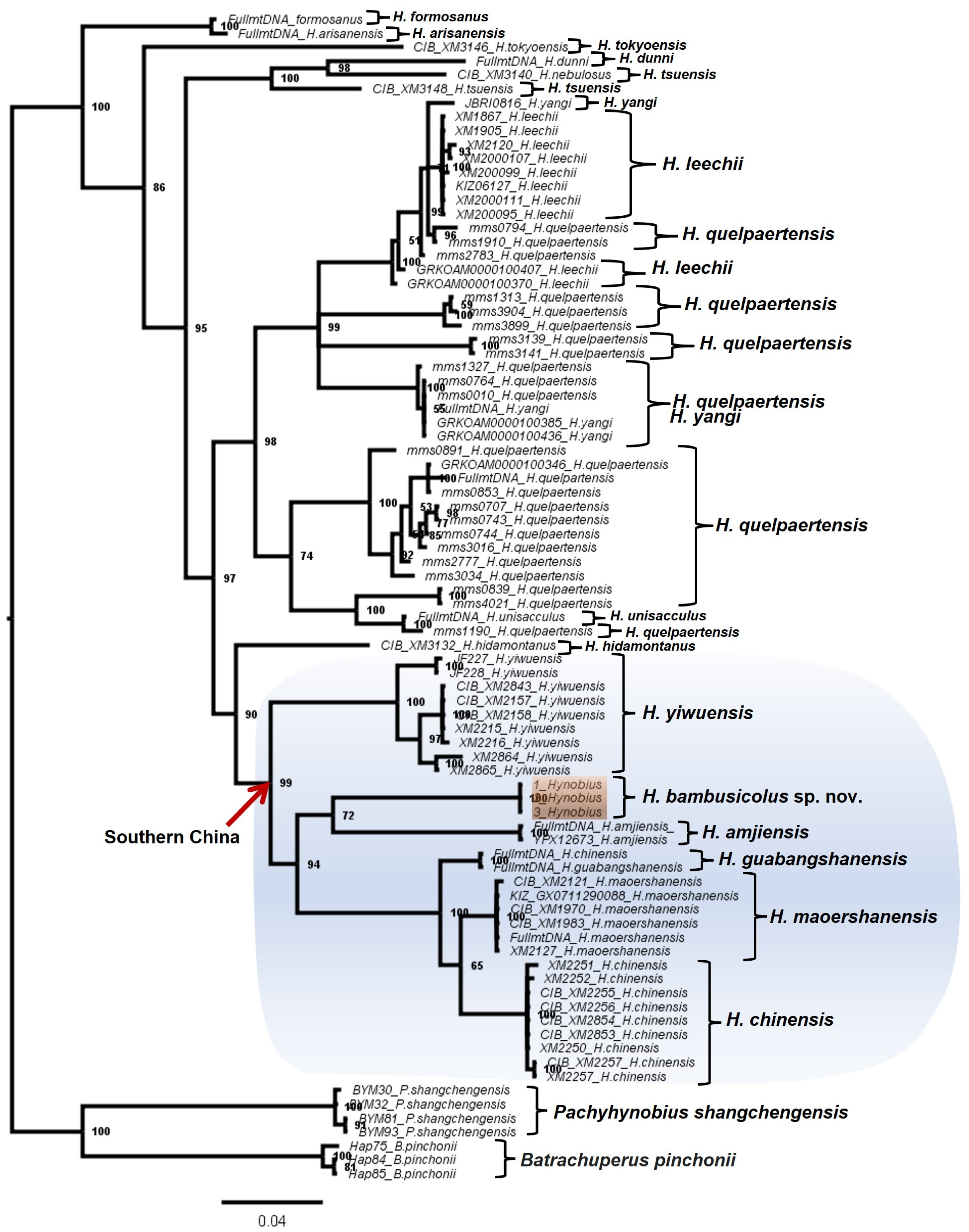 Animals 13 01661 g003 Animals 13 01661 g003