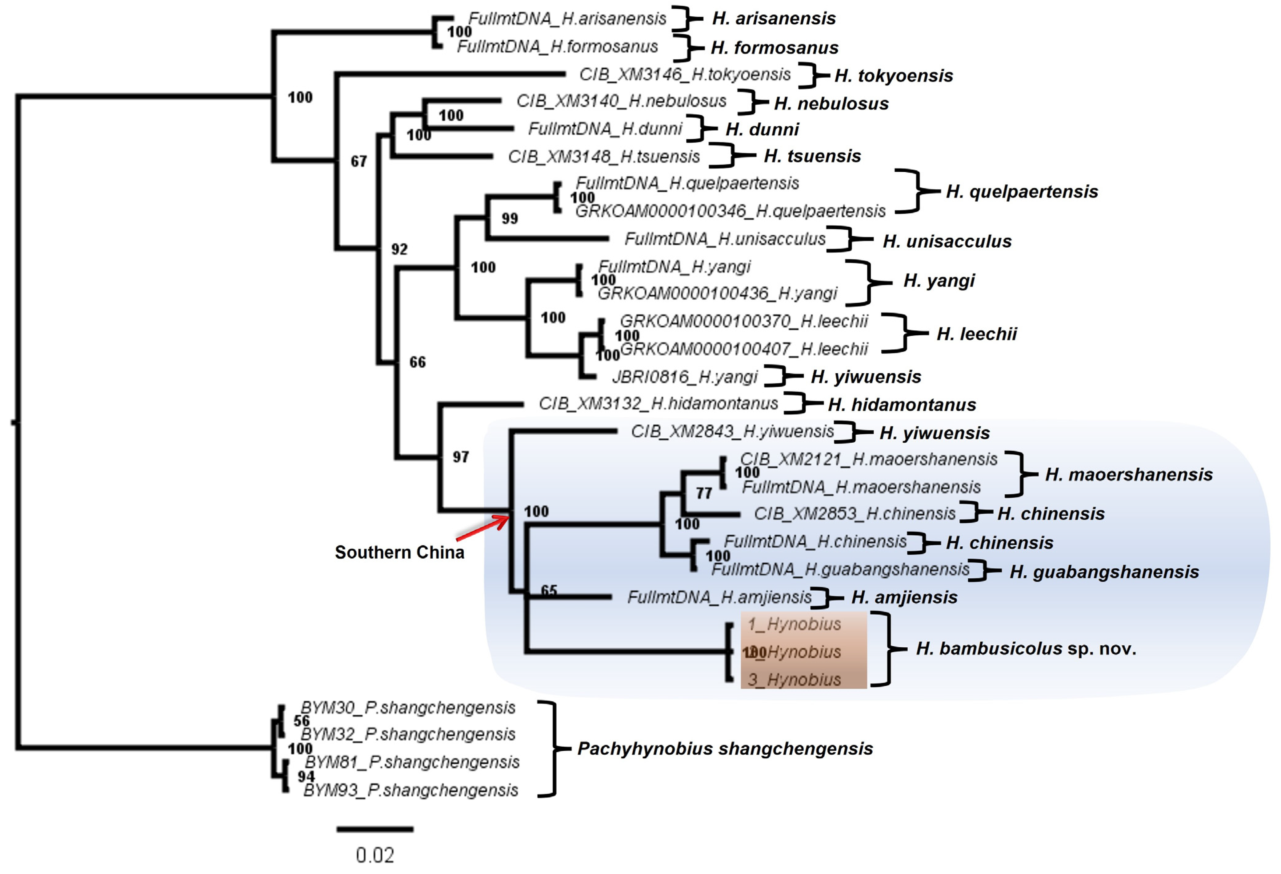 Animals 13 01661 g004 Animals 13 01661 g004