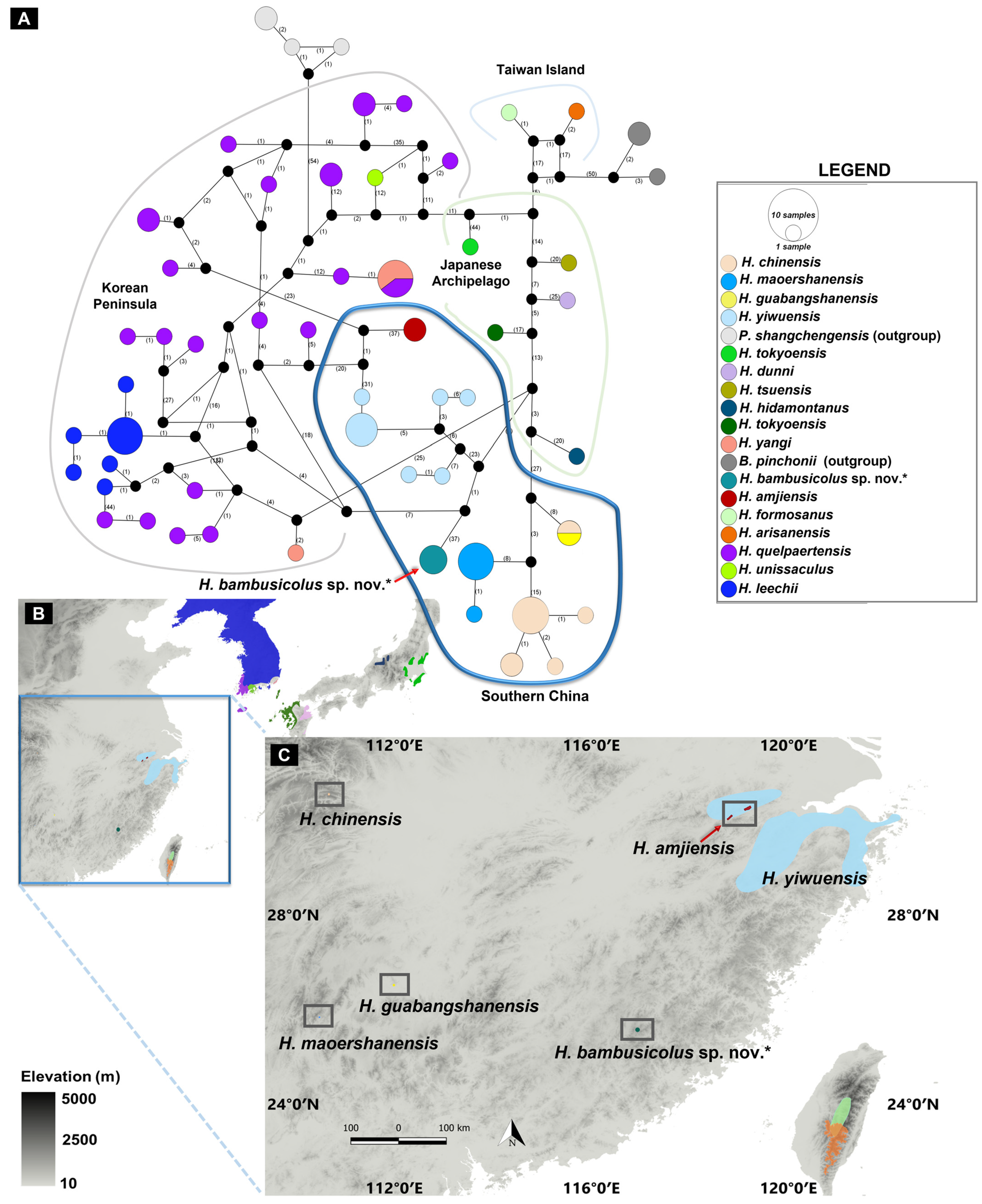 Animals 13 01661 g005 Animals 13 01661 g005