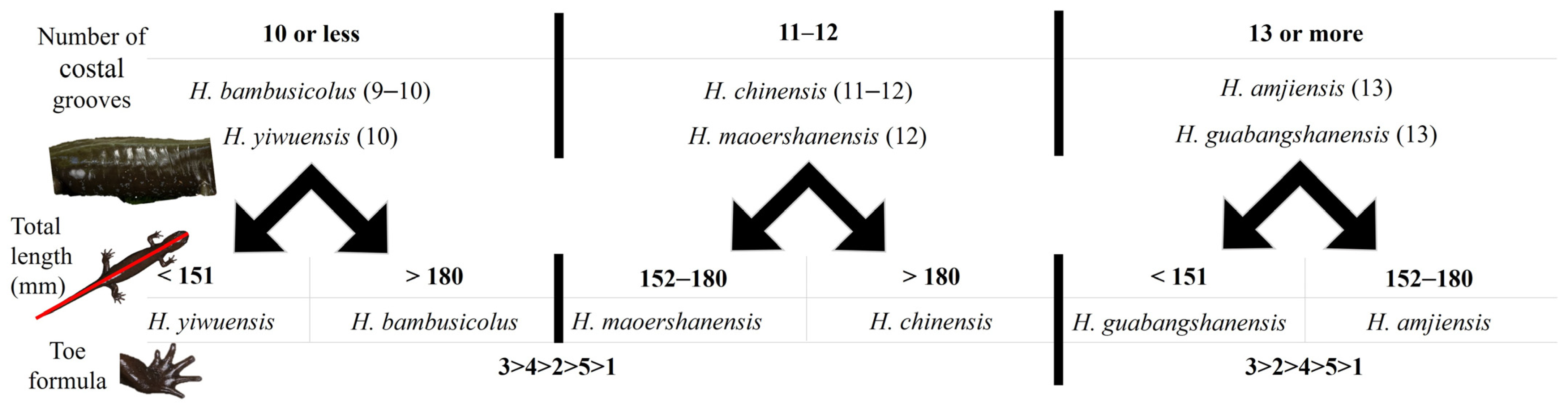 Animals 13 01661 g006 Animals 13 01661 g006