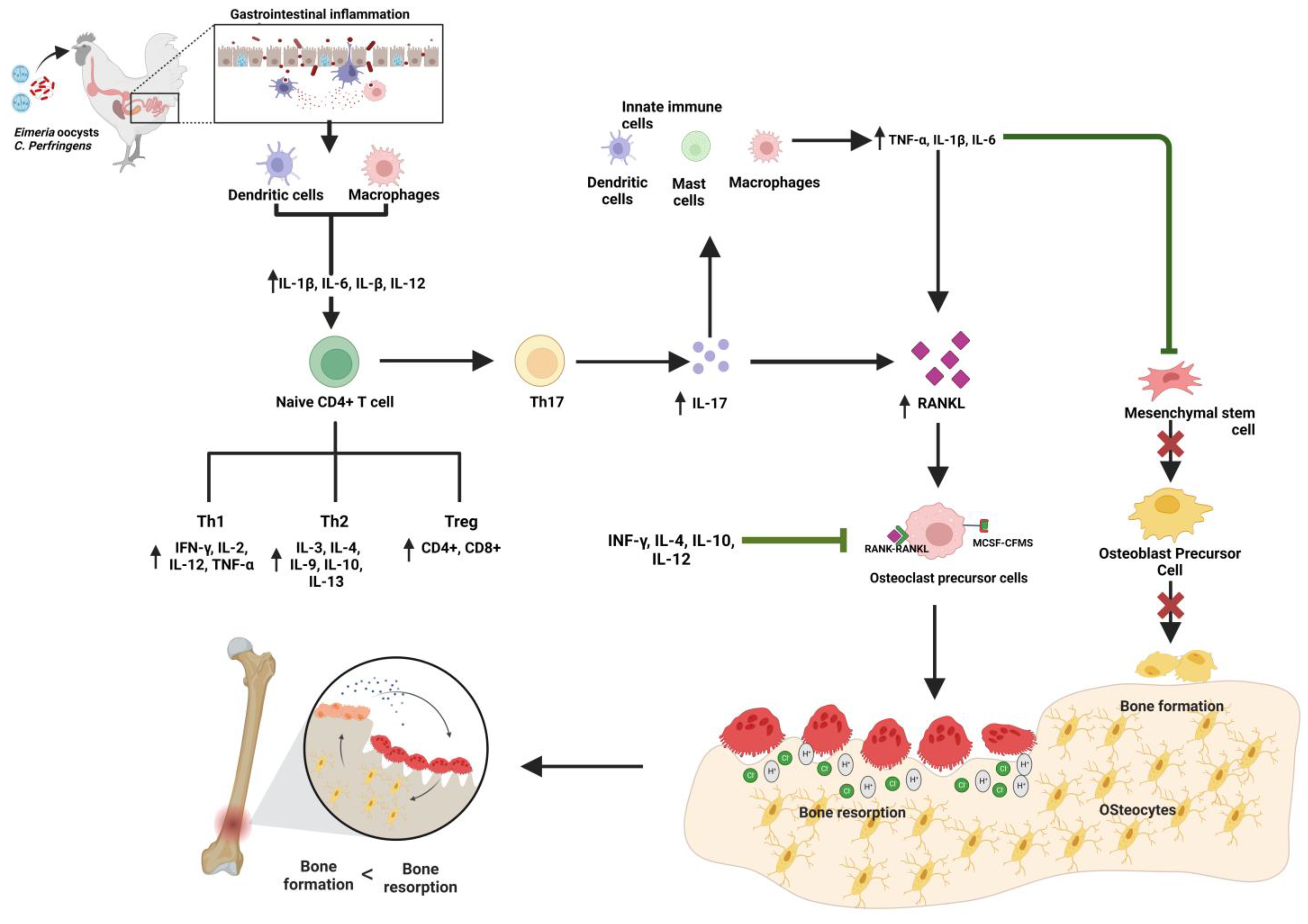 Animals 13 01816 g002 Animals 13 01816 g002
