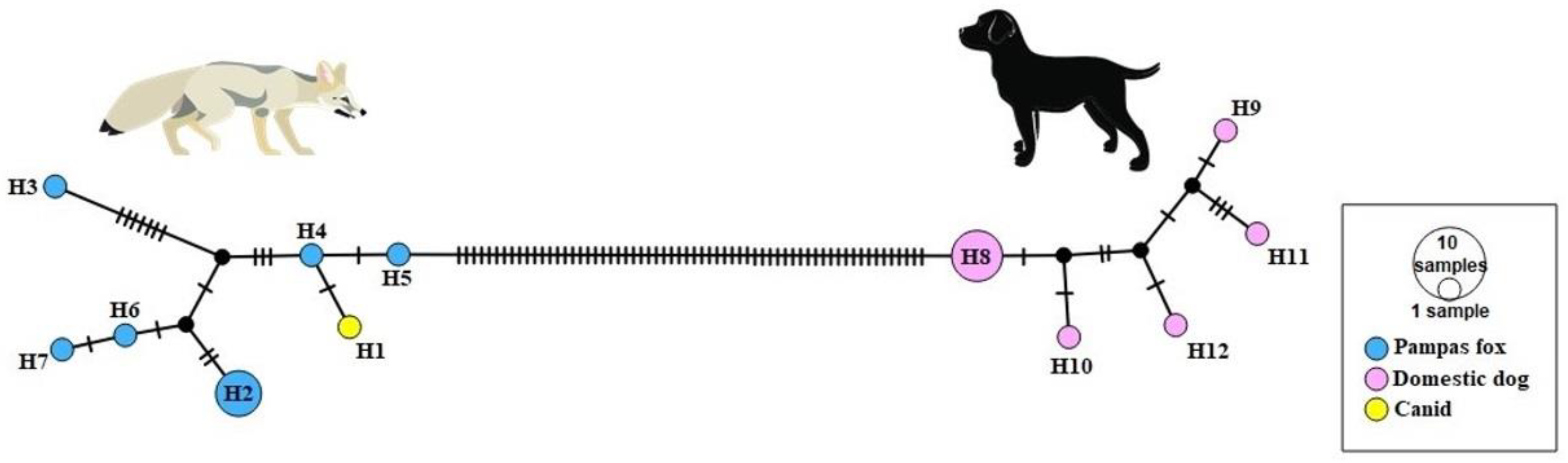 Animals 13 02505 g003