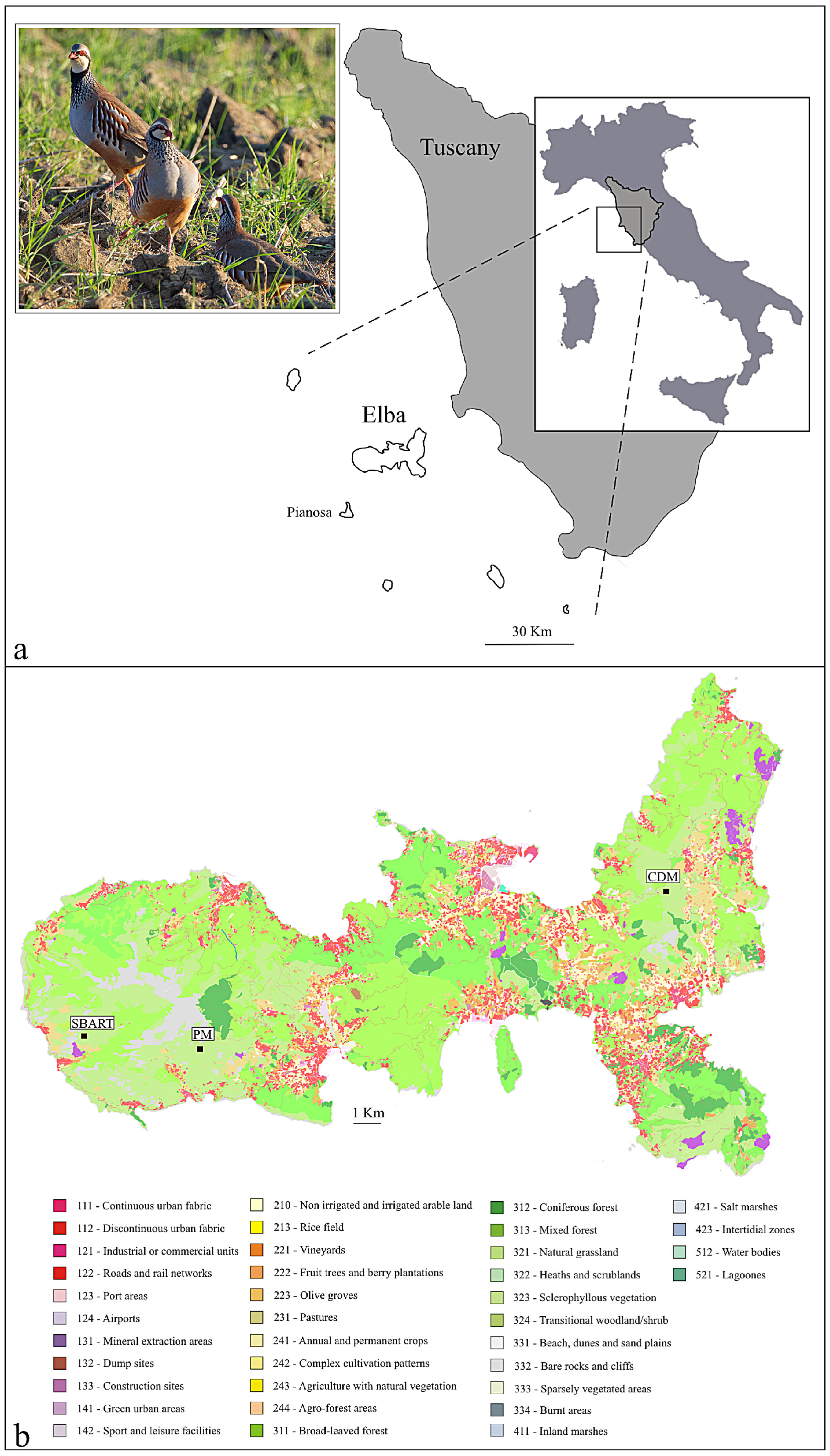 Animals 13 03341 g001 Animals 13 03341 g001