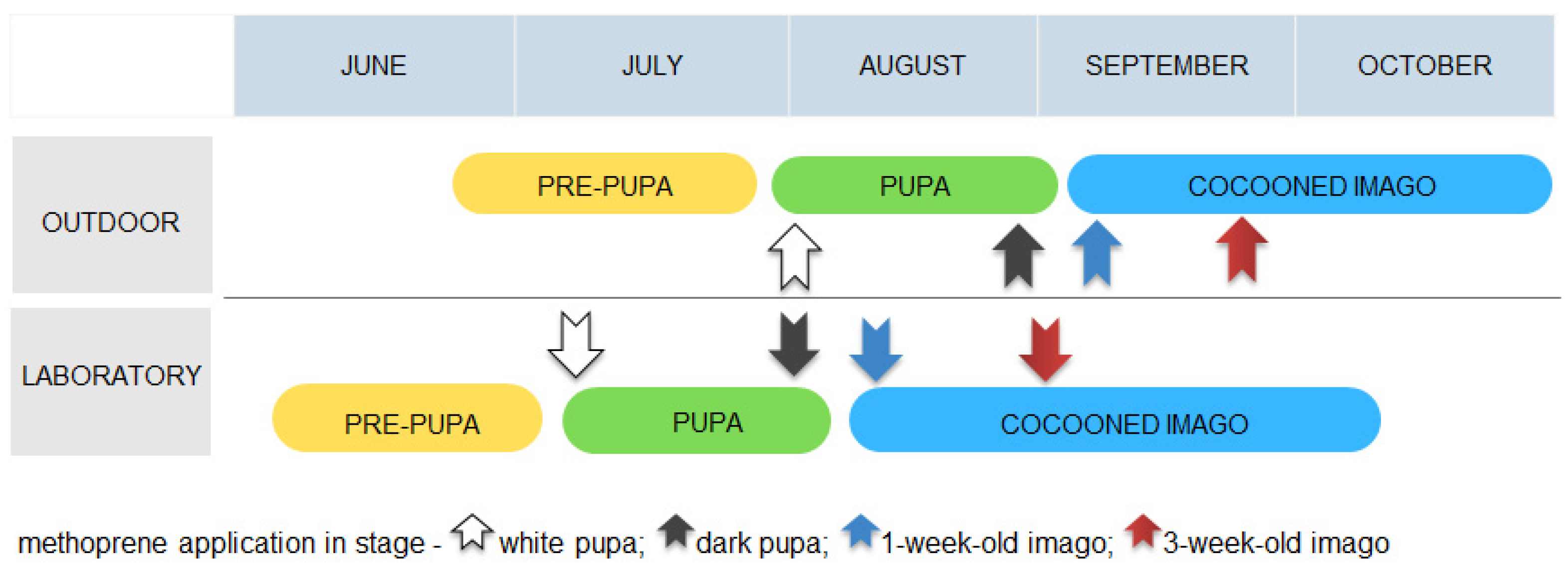 Animals 13 03344 g002