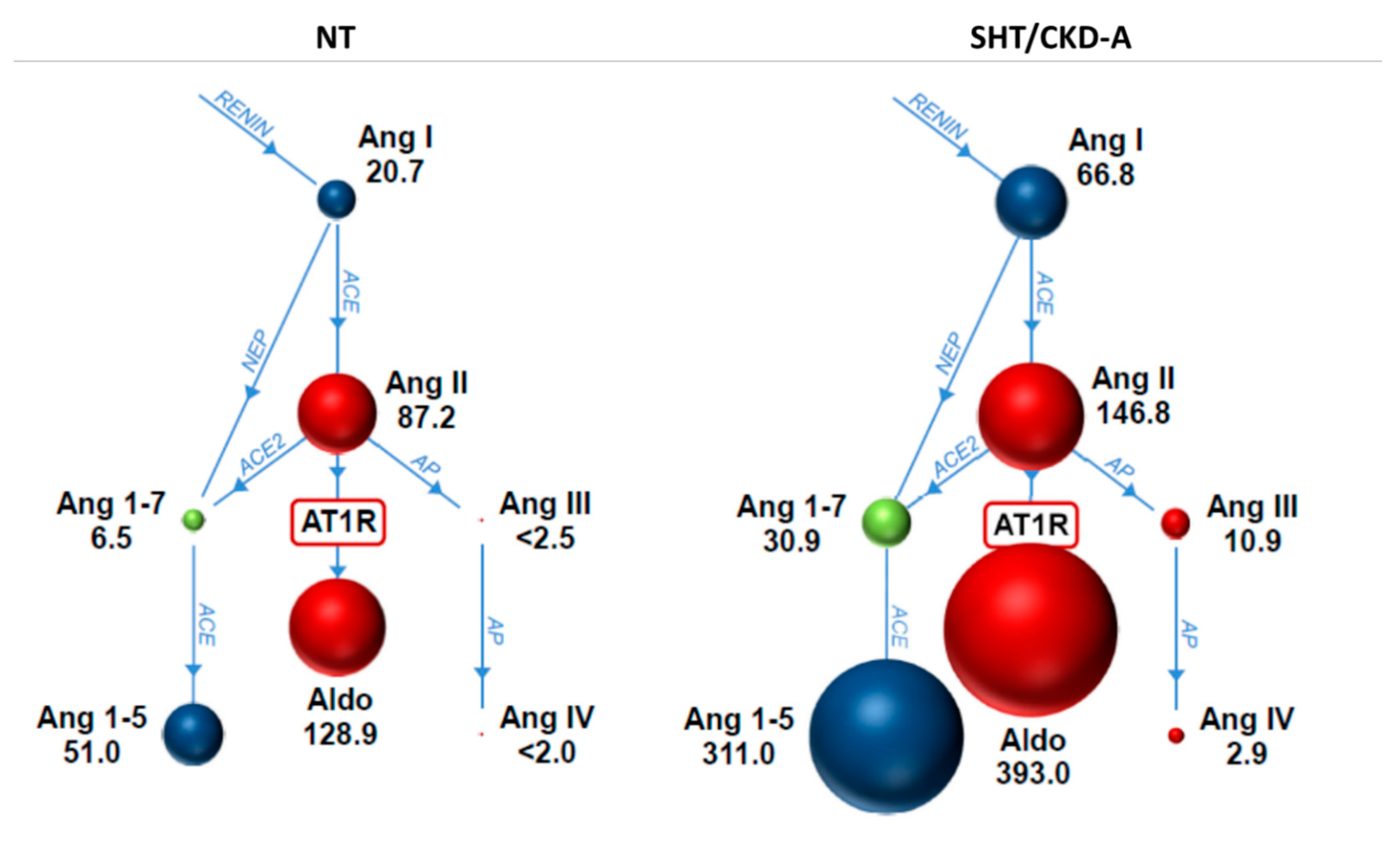 Animals 13 03479 g001