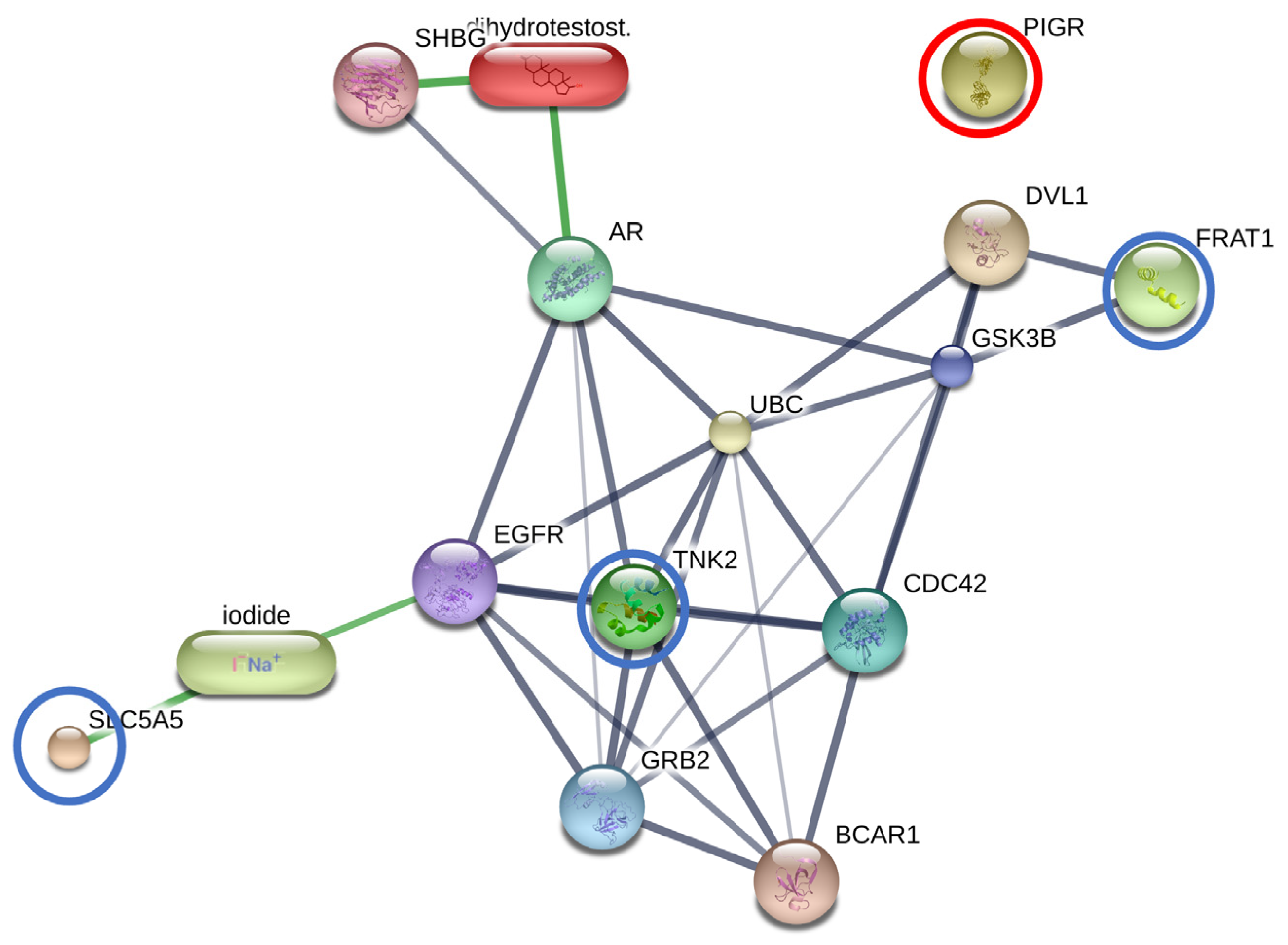 Animals 13 03853 g003