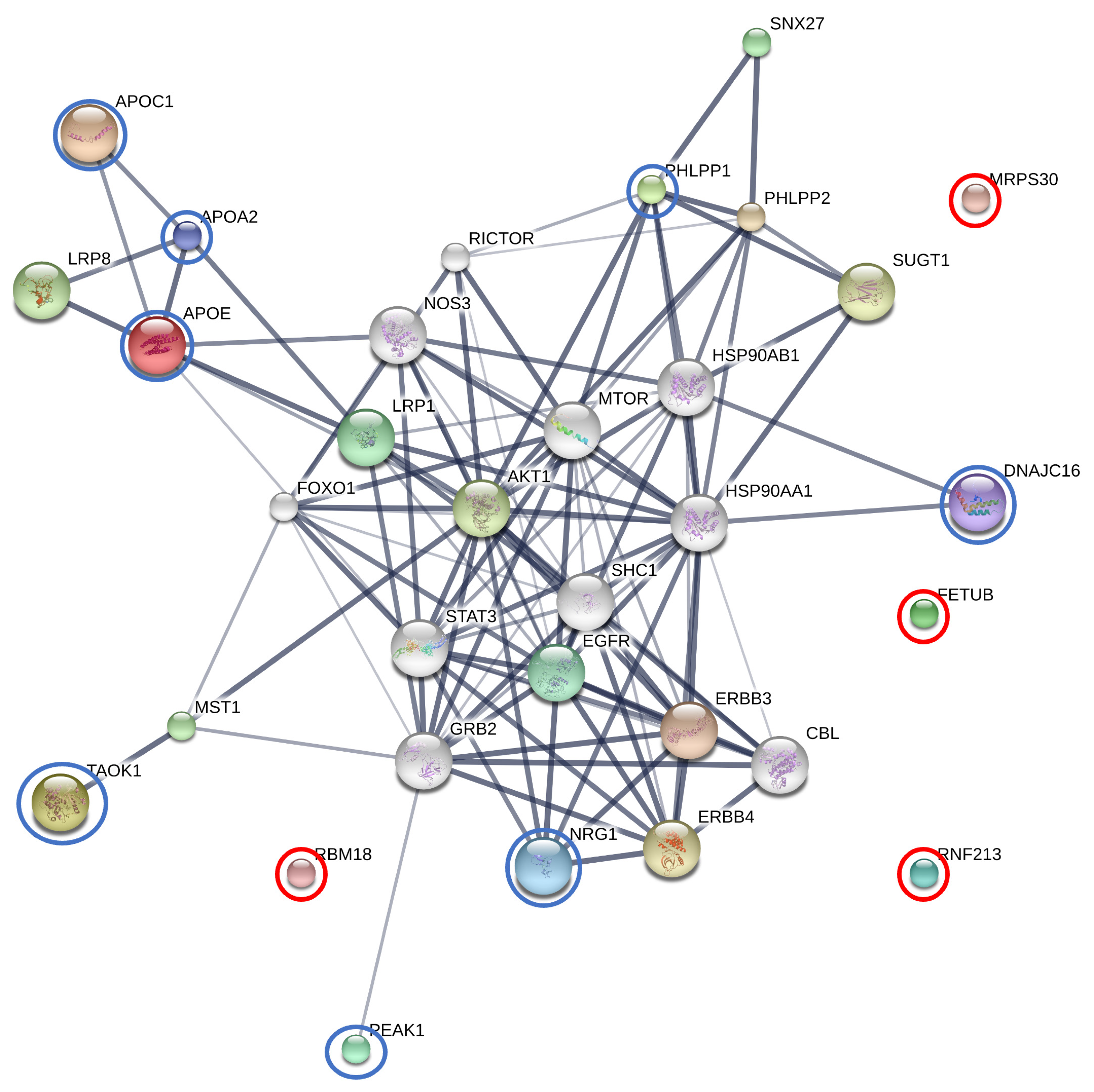 Animals 13 03853 g004