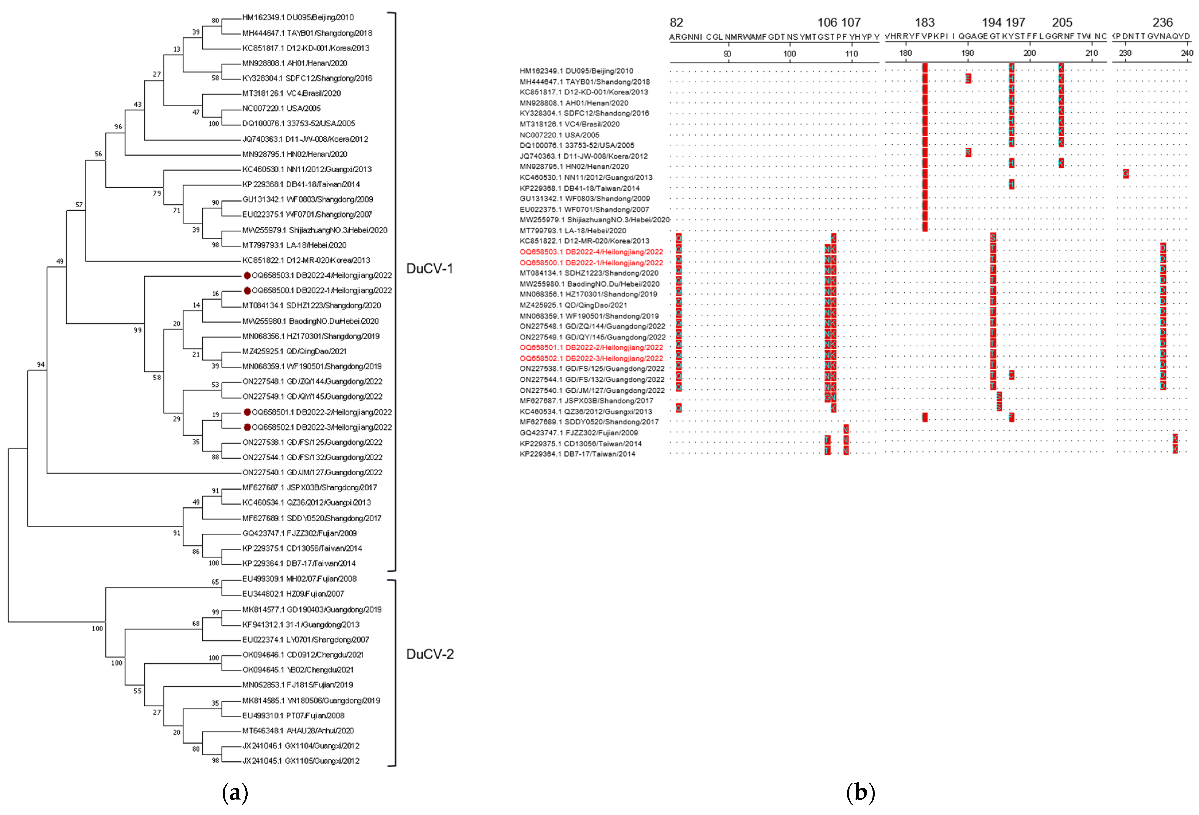 Animals 14 00006 g003