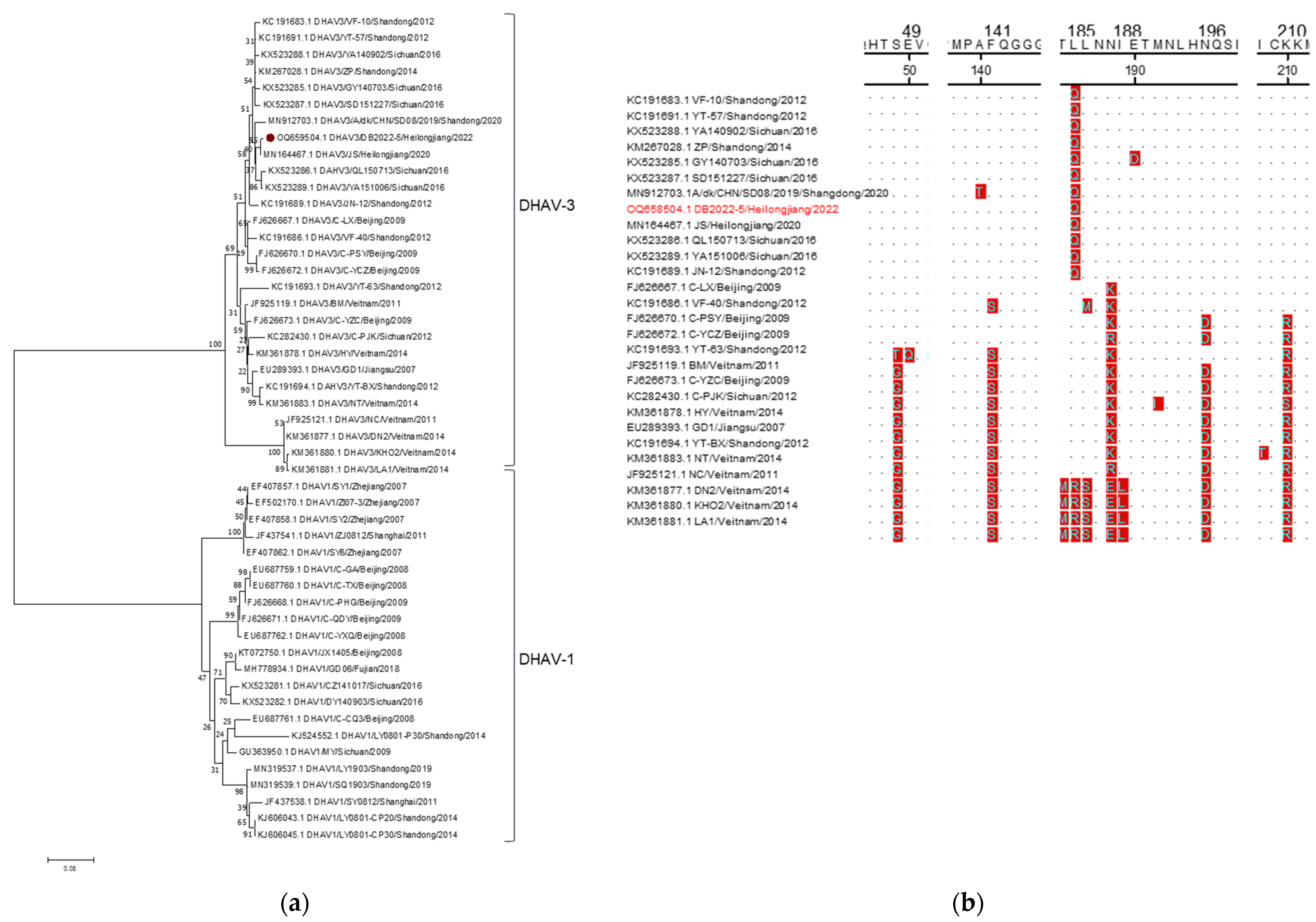 Animals 14 00006 g004