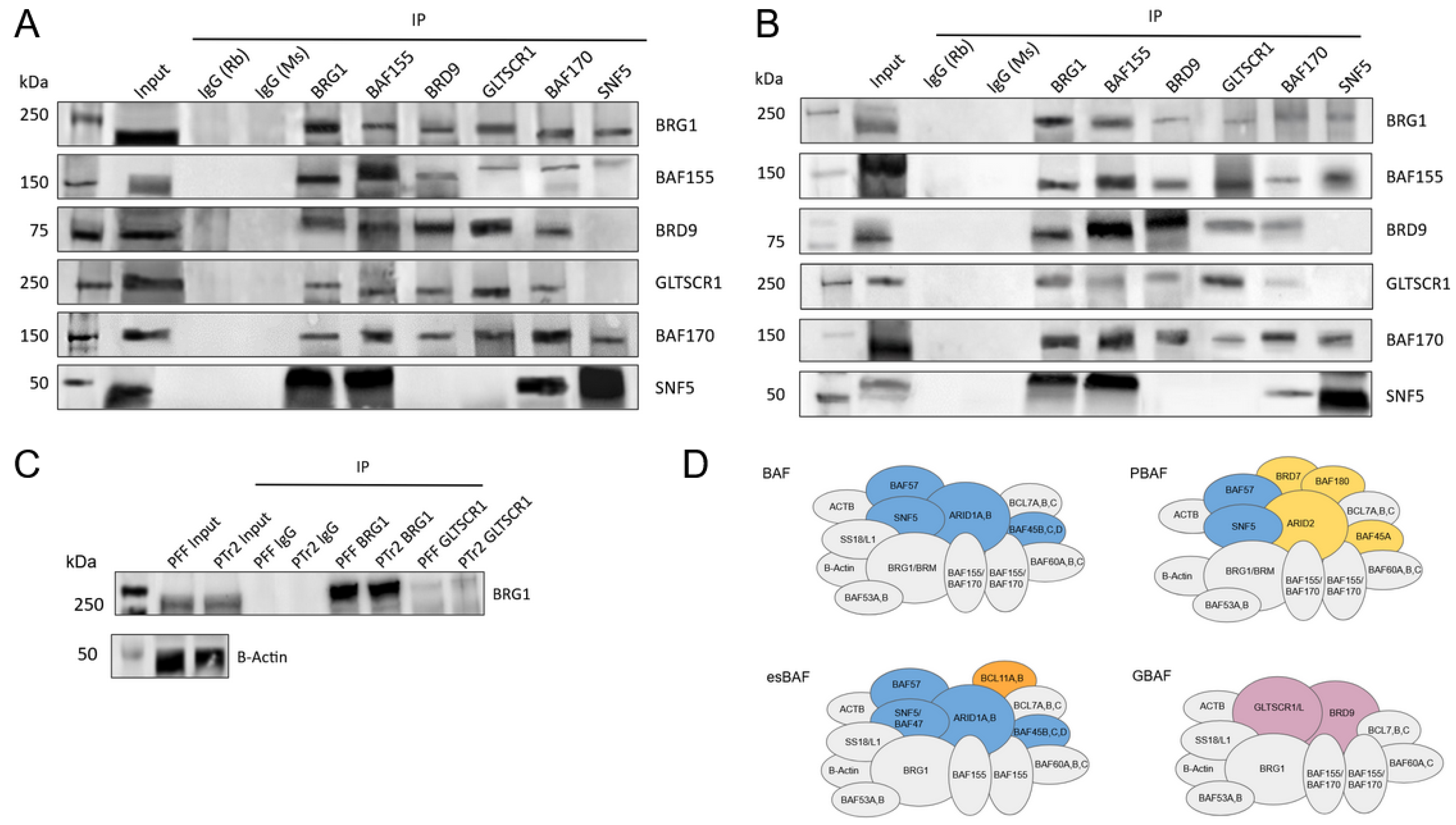 Animals 14 00773 g005