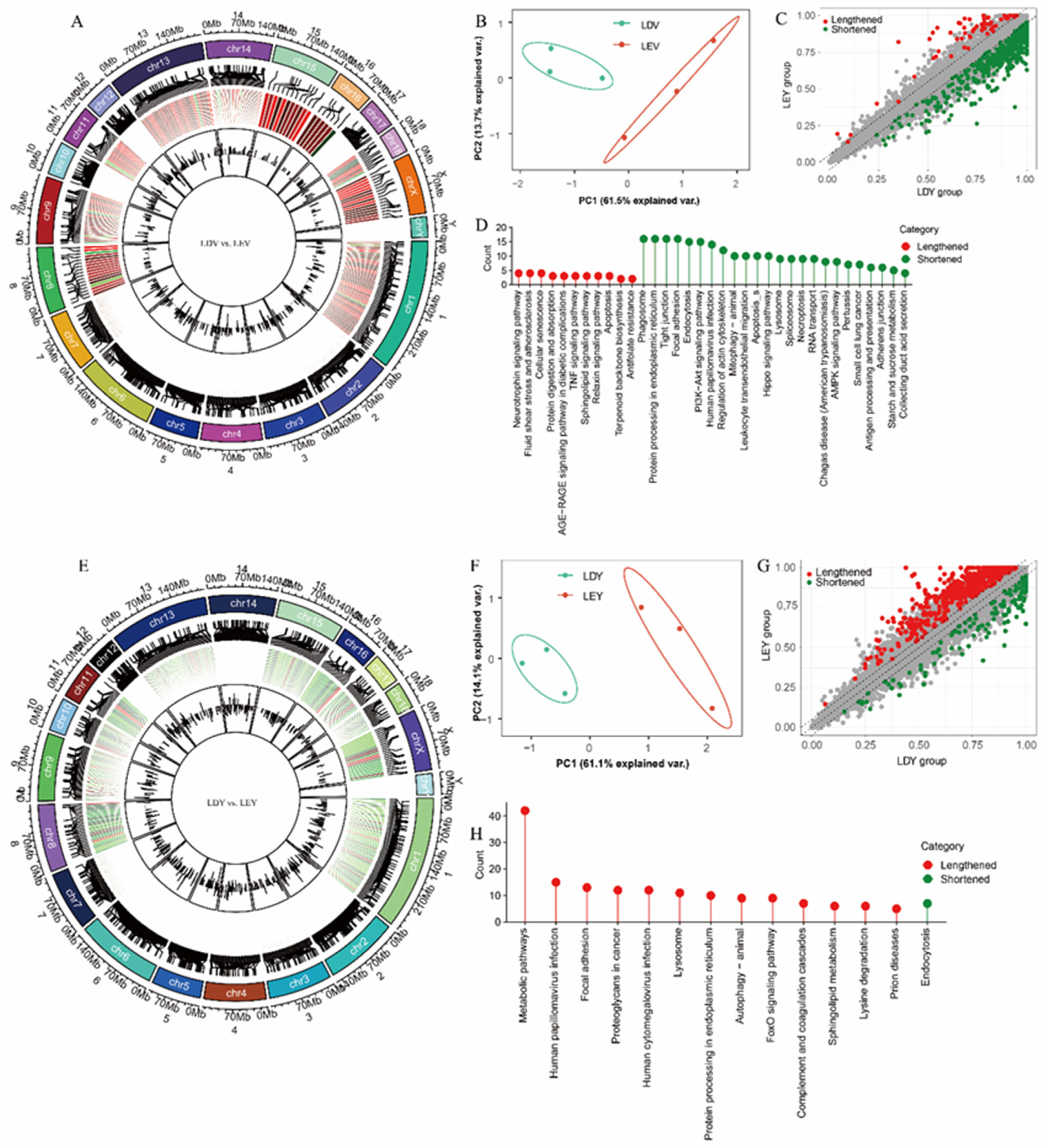 Animals 14 00791 g003