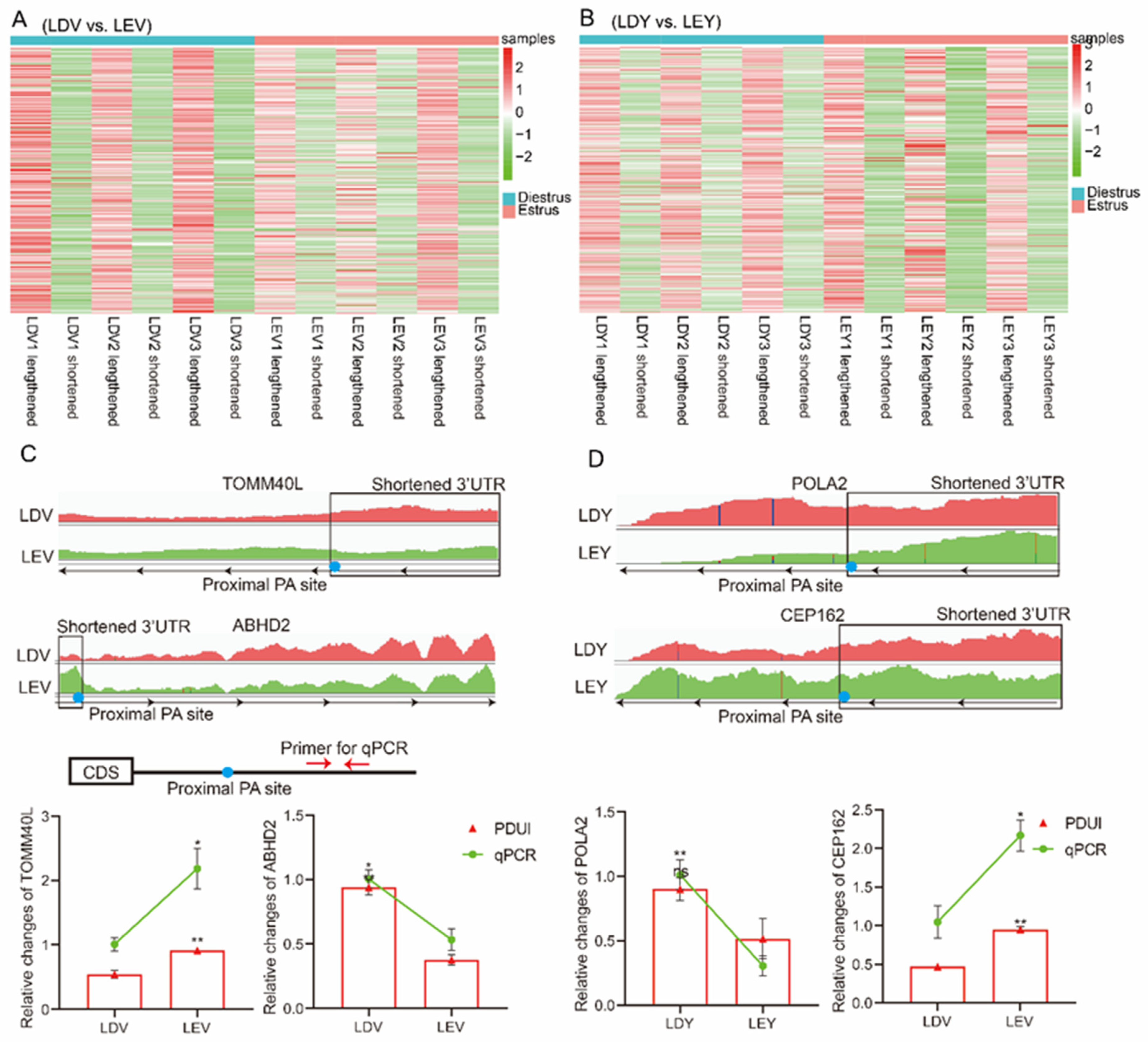 Animals 14 00791 g004
