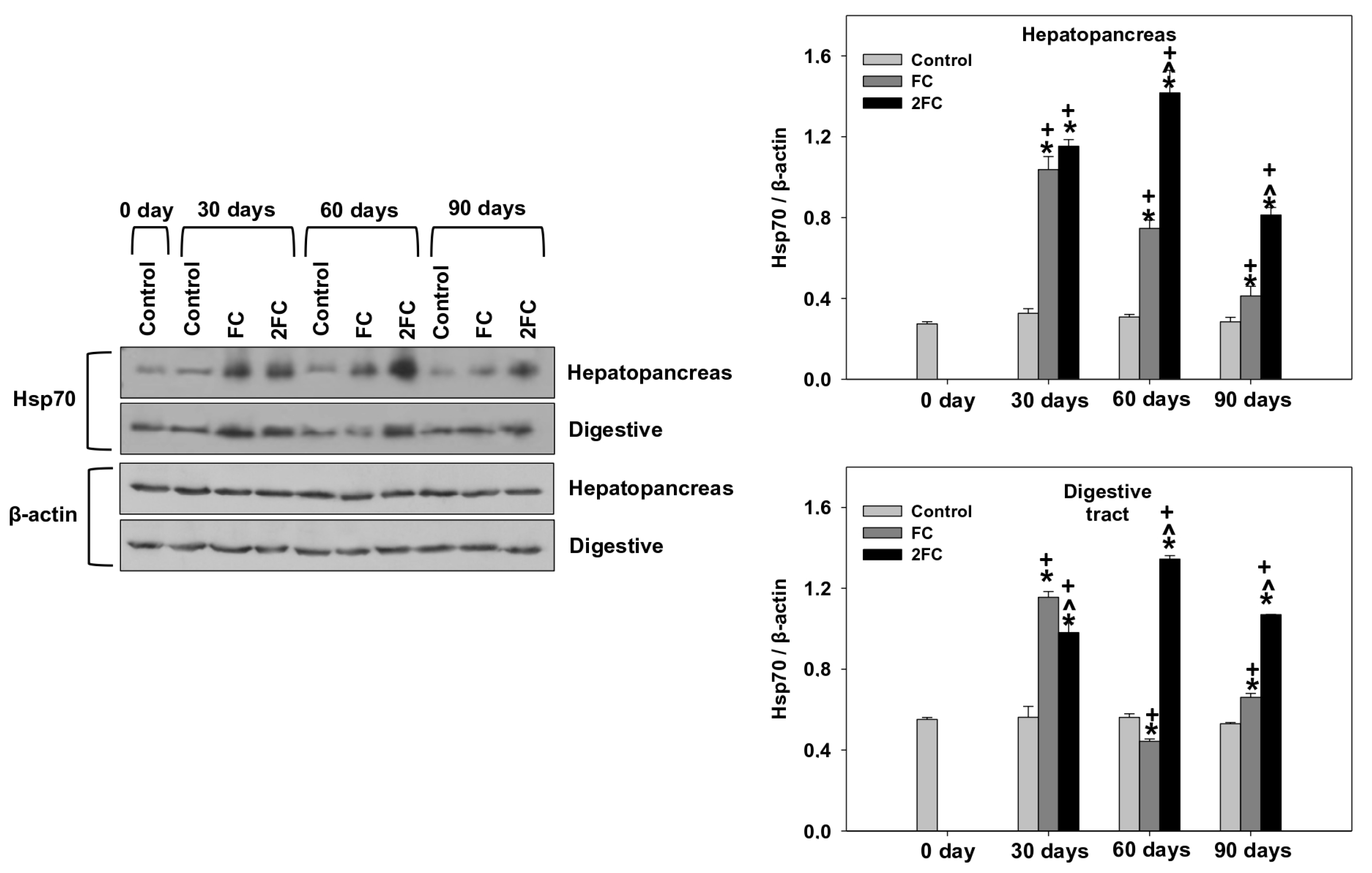 Animals 14 00857 g004 Animals 14 00857 g004