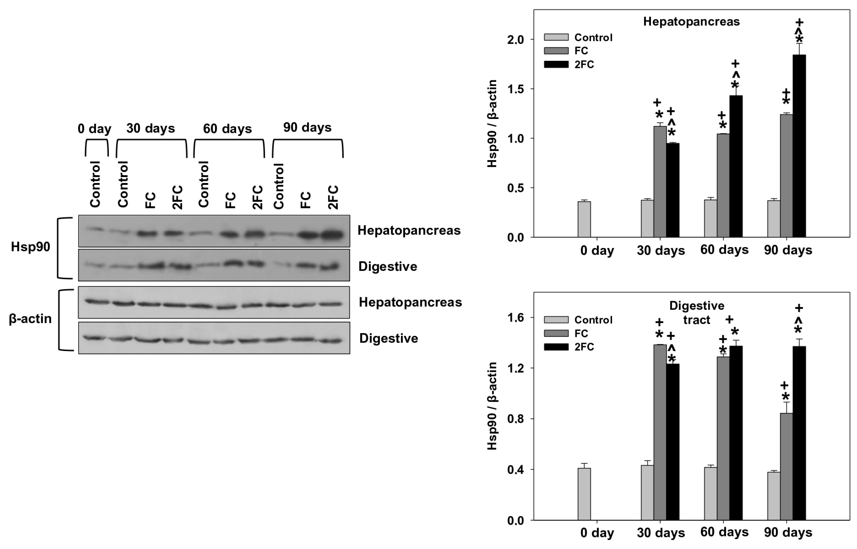 Animals 14 00857 g005 Animals 14 00857 g005