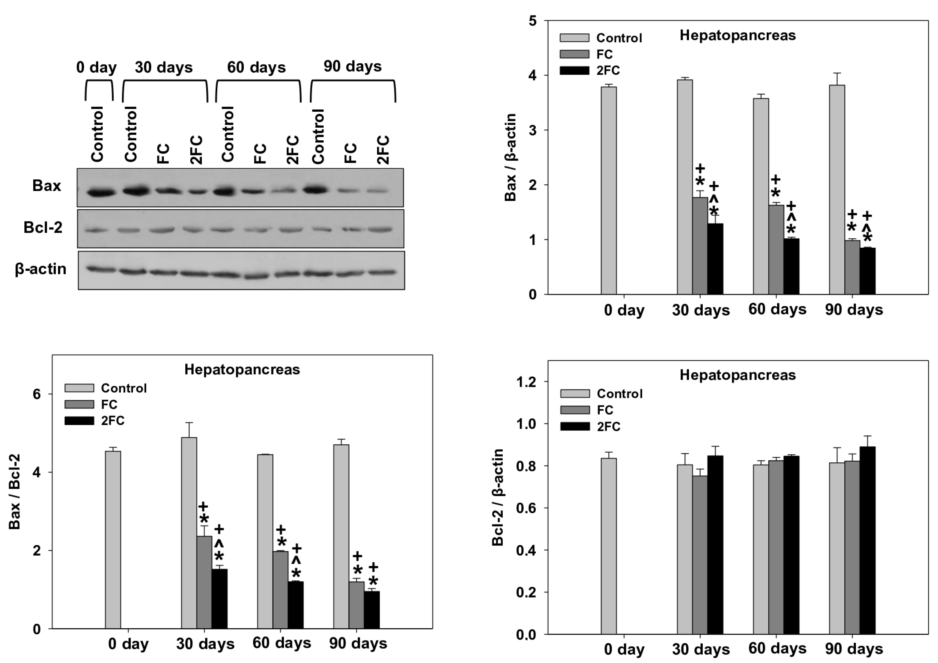 Animals 14 00857 g006 Animals 14 00857 g006