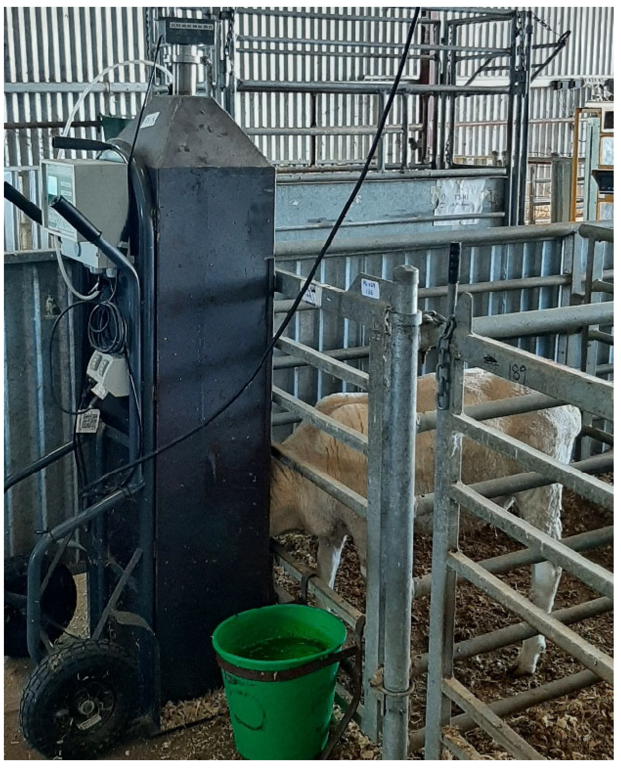 Animals 14 00905 g001