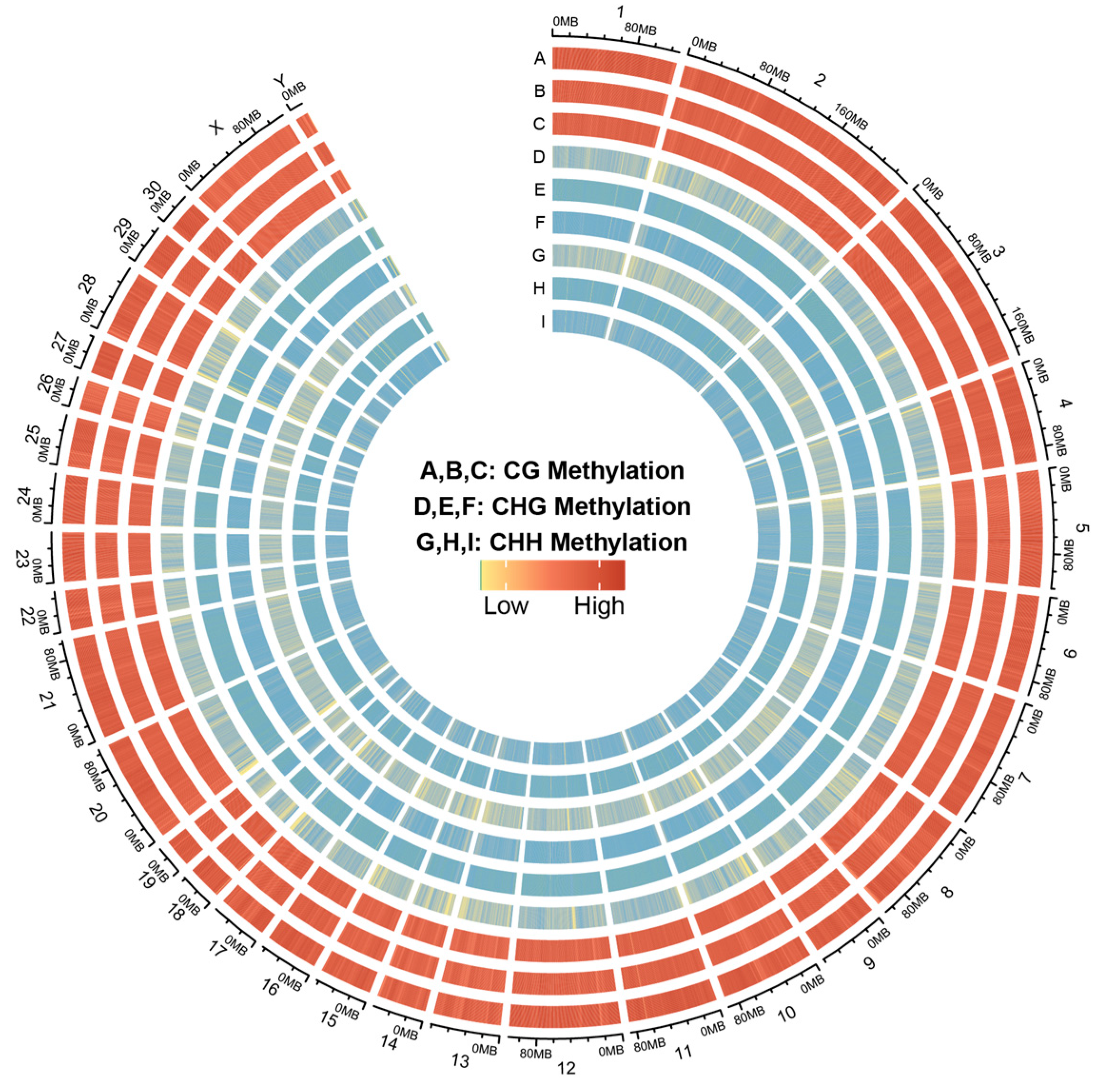 Animals 14 01222 g001