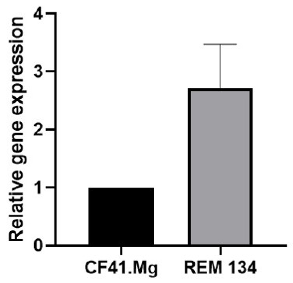 Animals 14 01229 g001