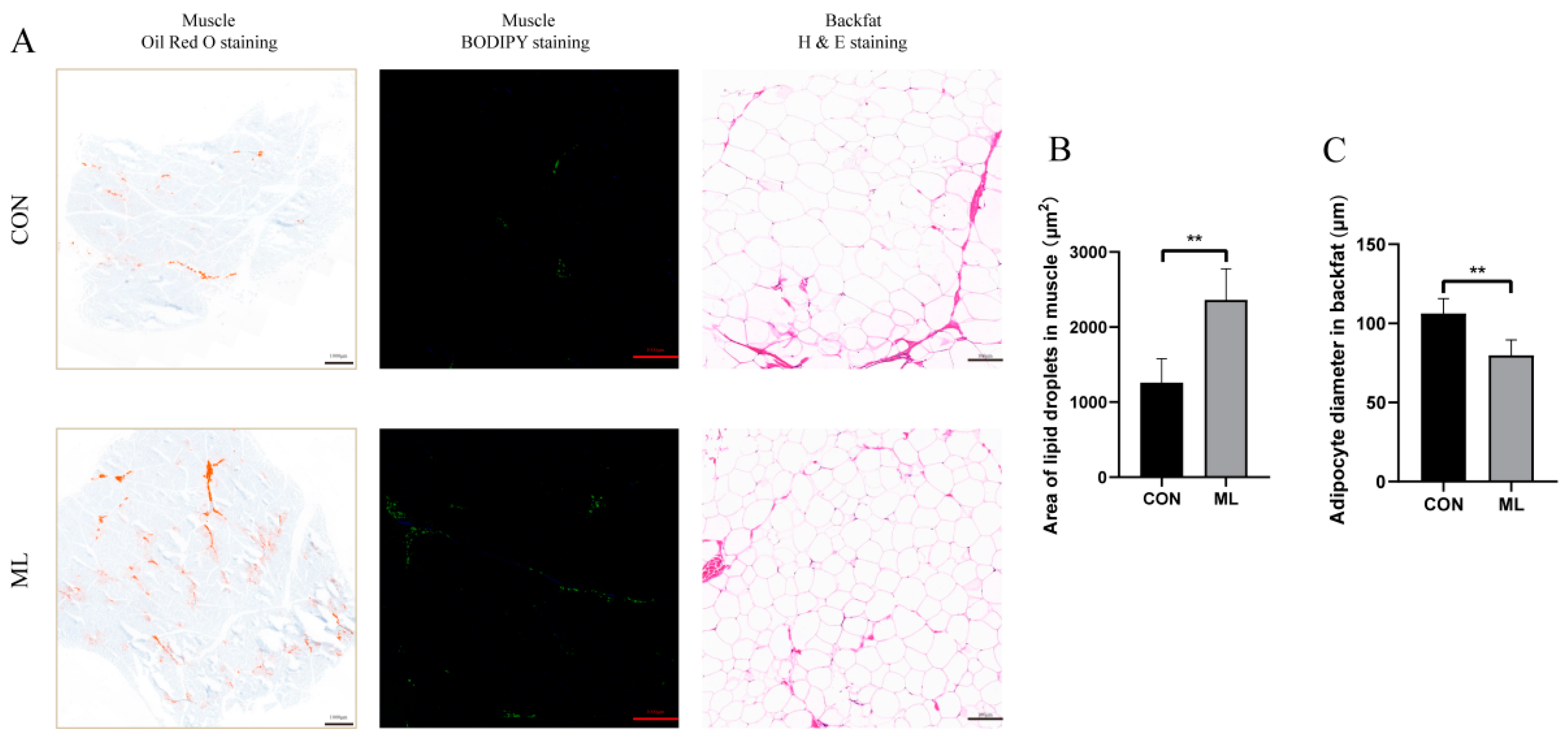 Animals 14 01233 g001