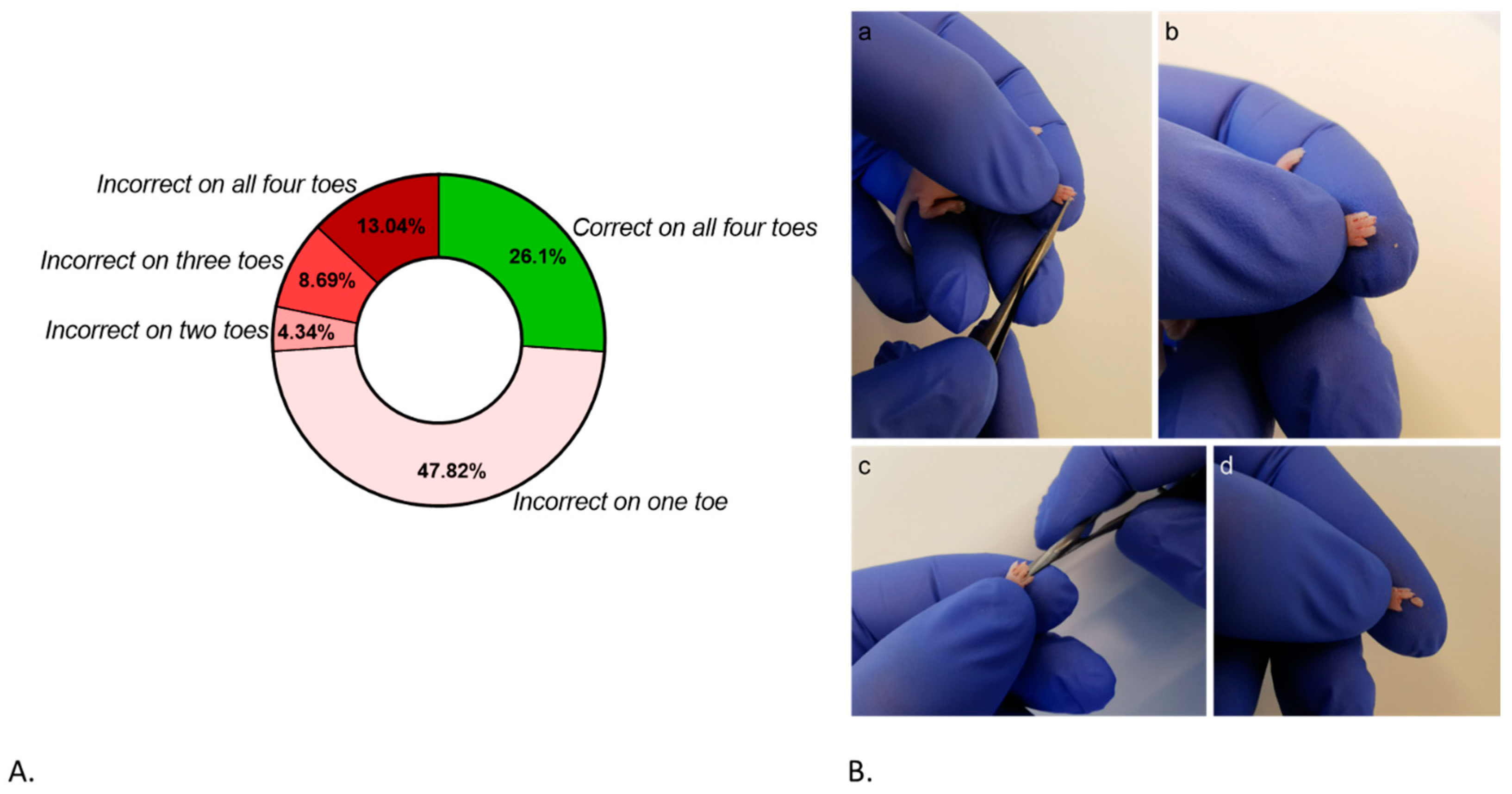 Animals 14 01253 g004