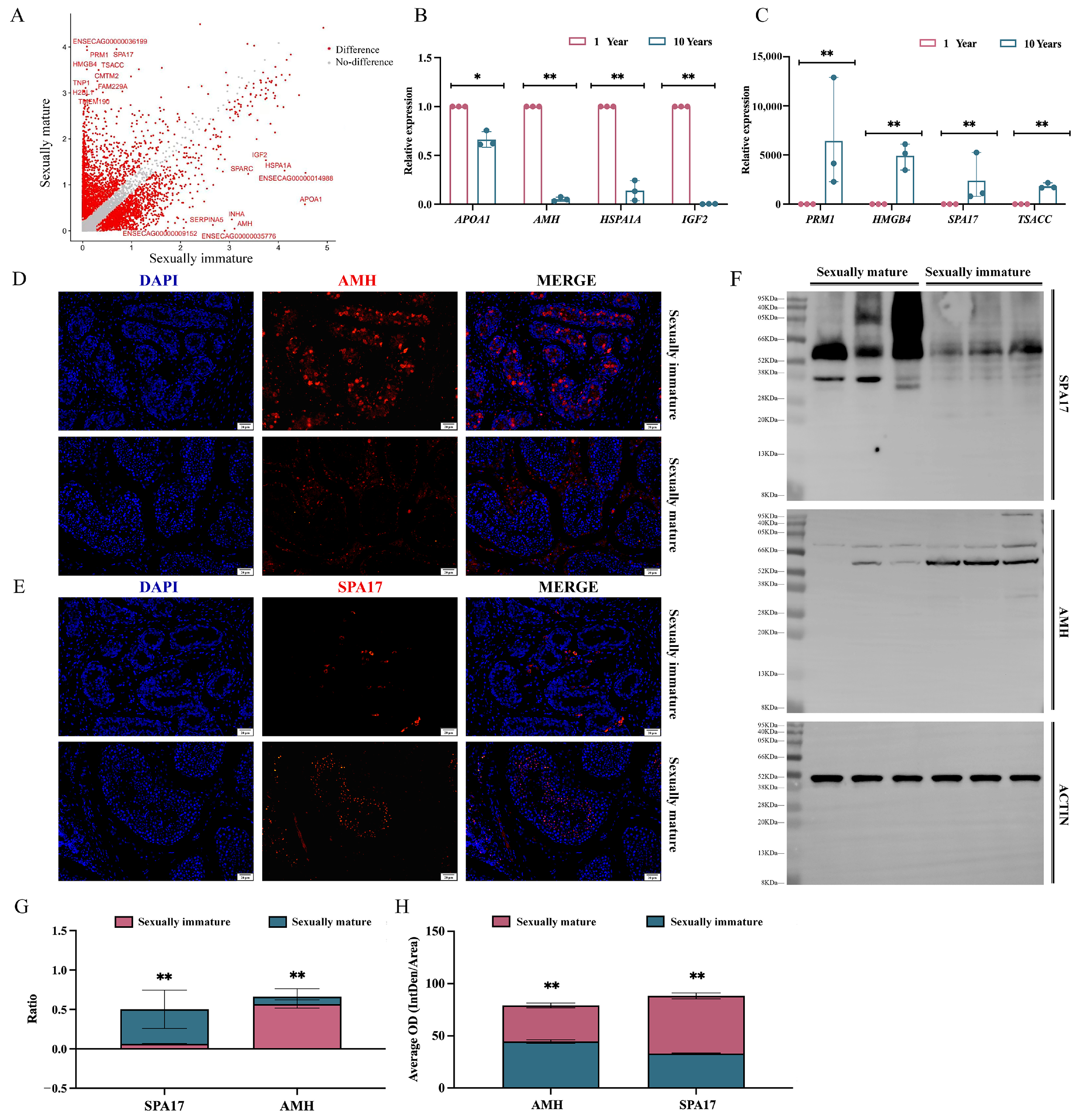Animals 14 01258 g004