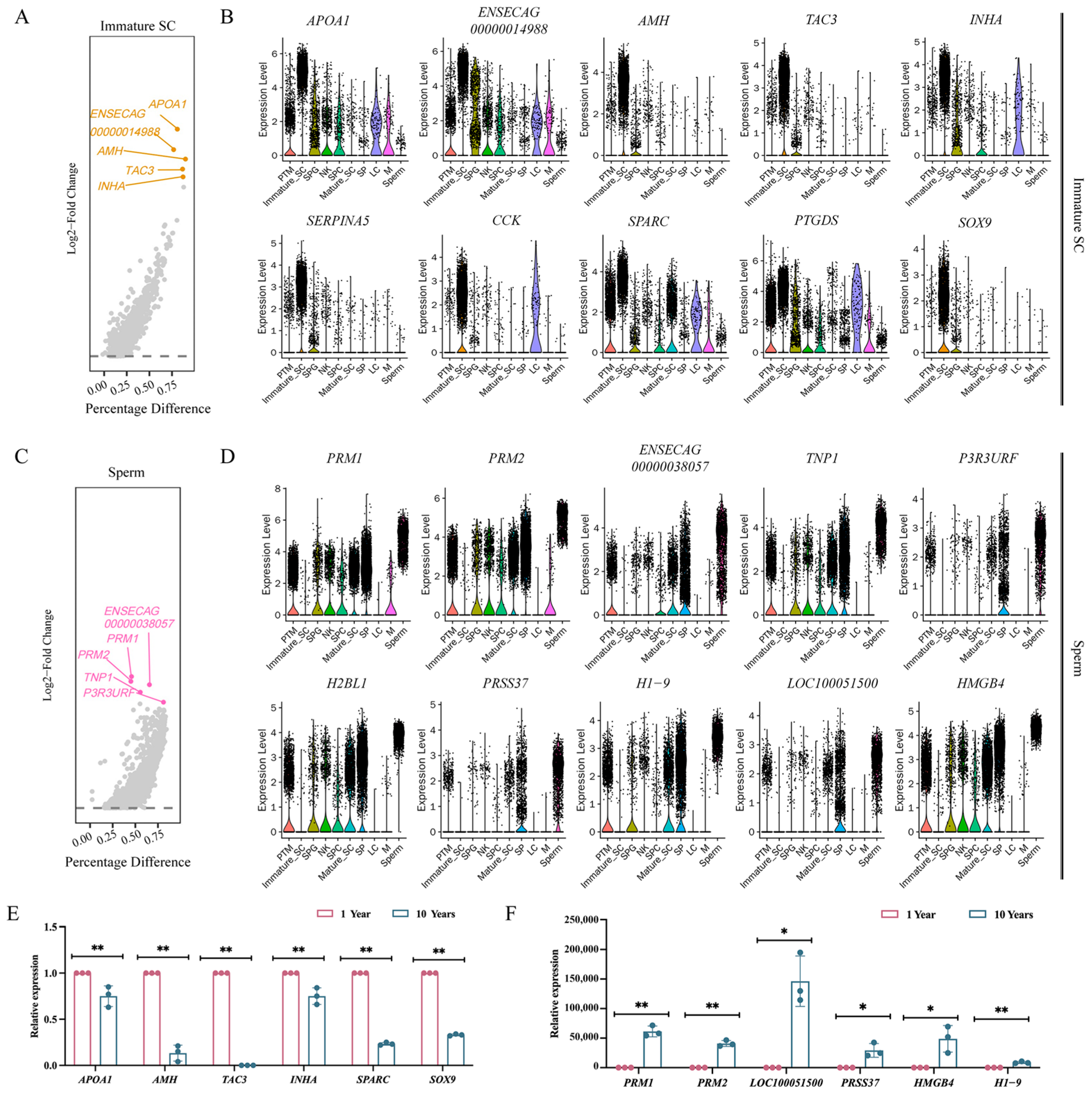 Animals 14 01258 g006