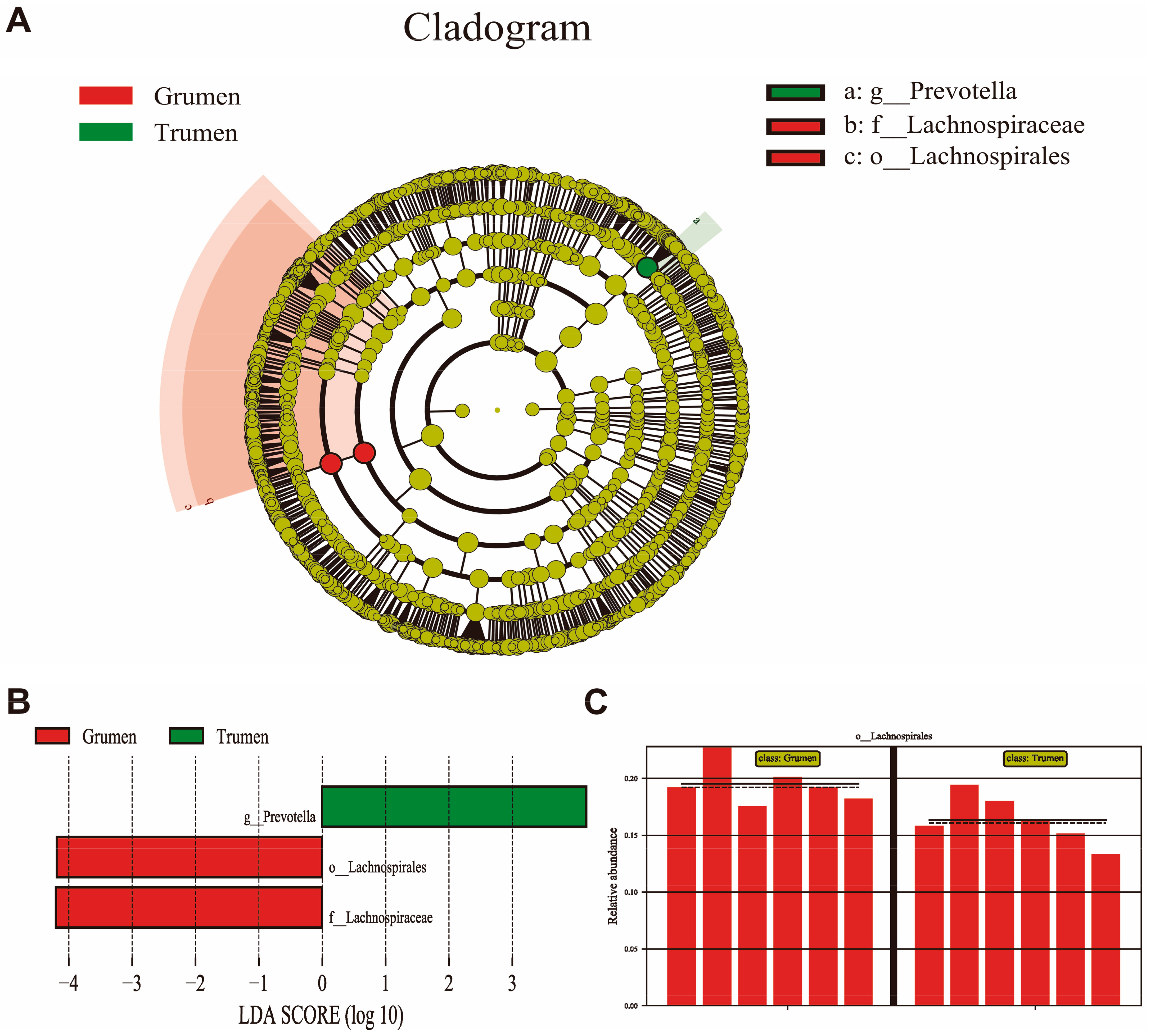 Animals 14 01259 g004