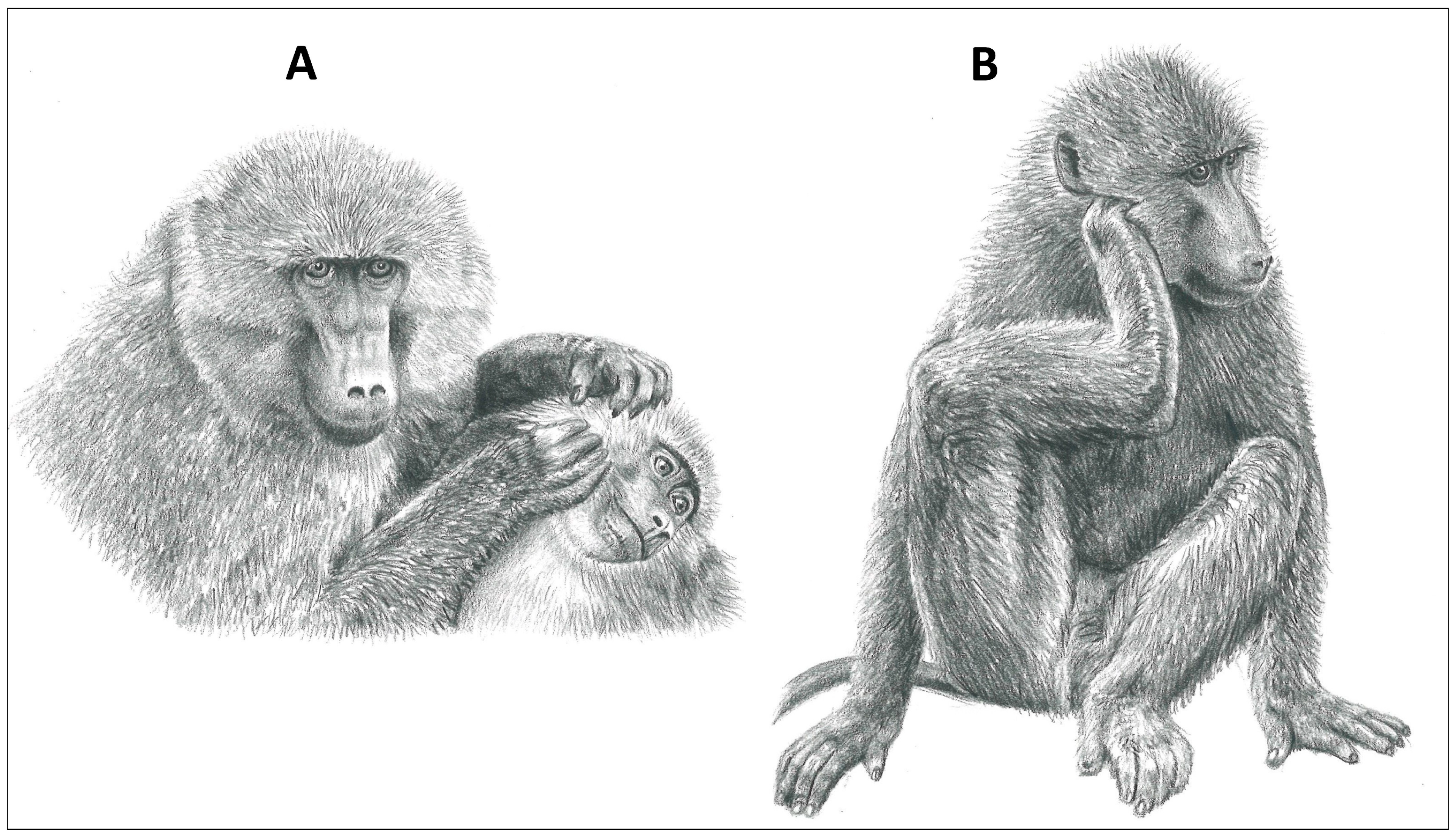 Animals 14 01266 g003