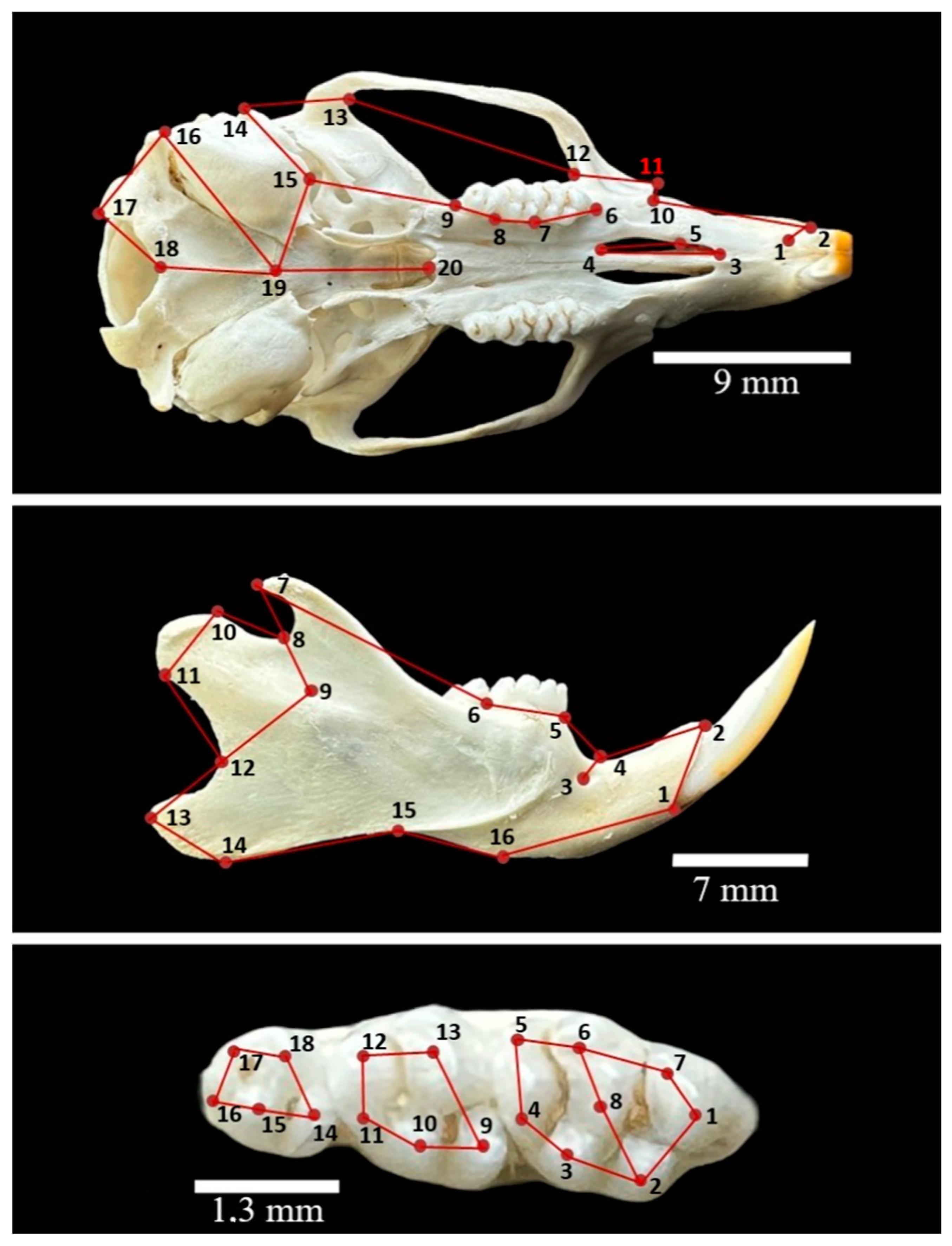 Animals 14 01274 g001