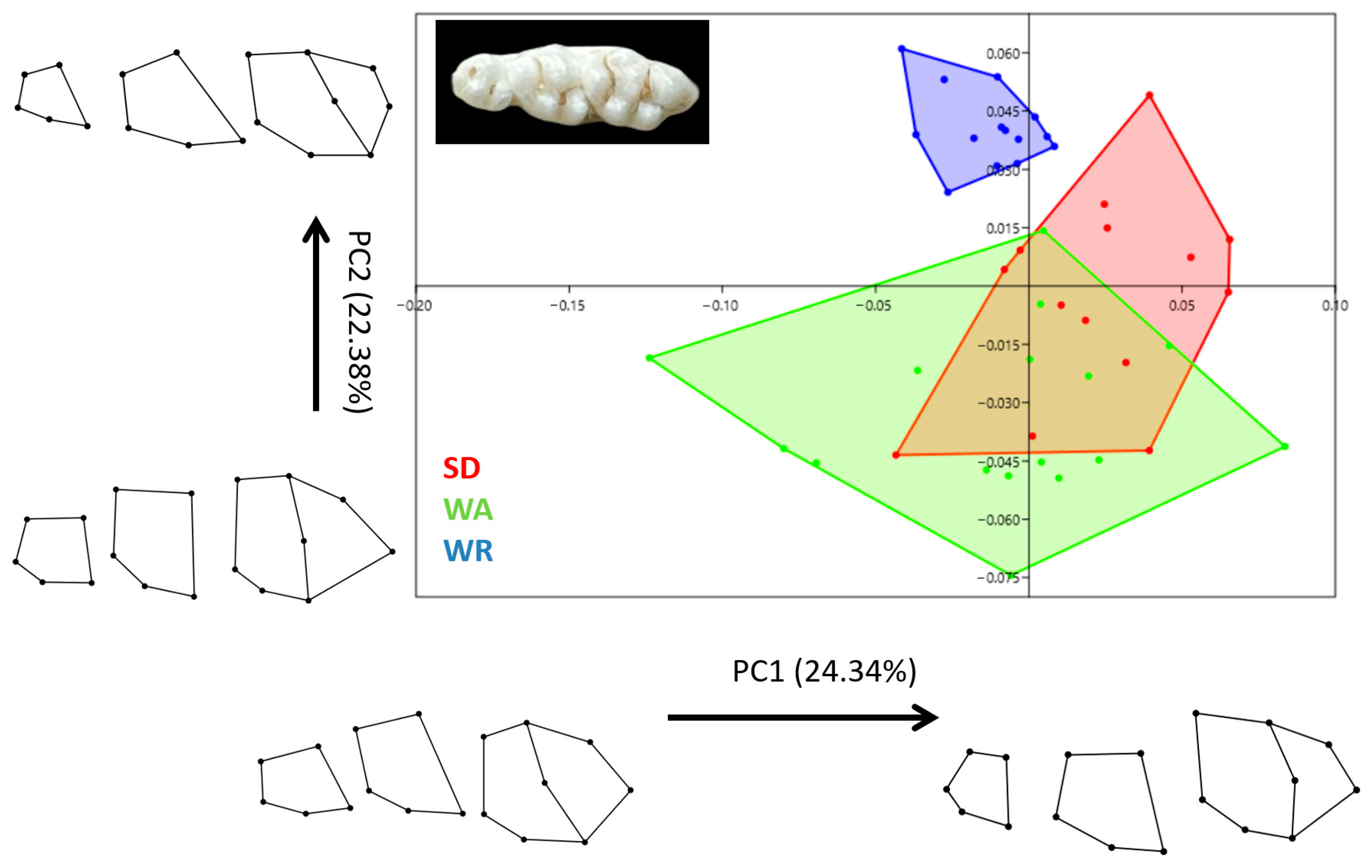 Animals 14 01274 g007