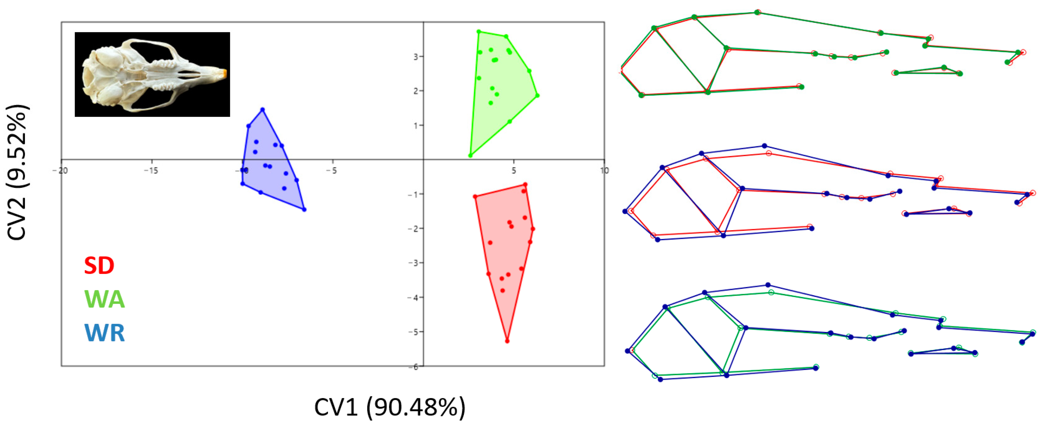 Animals 14 01274 g008