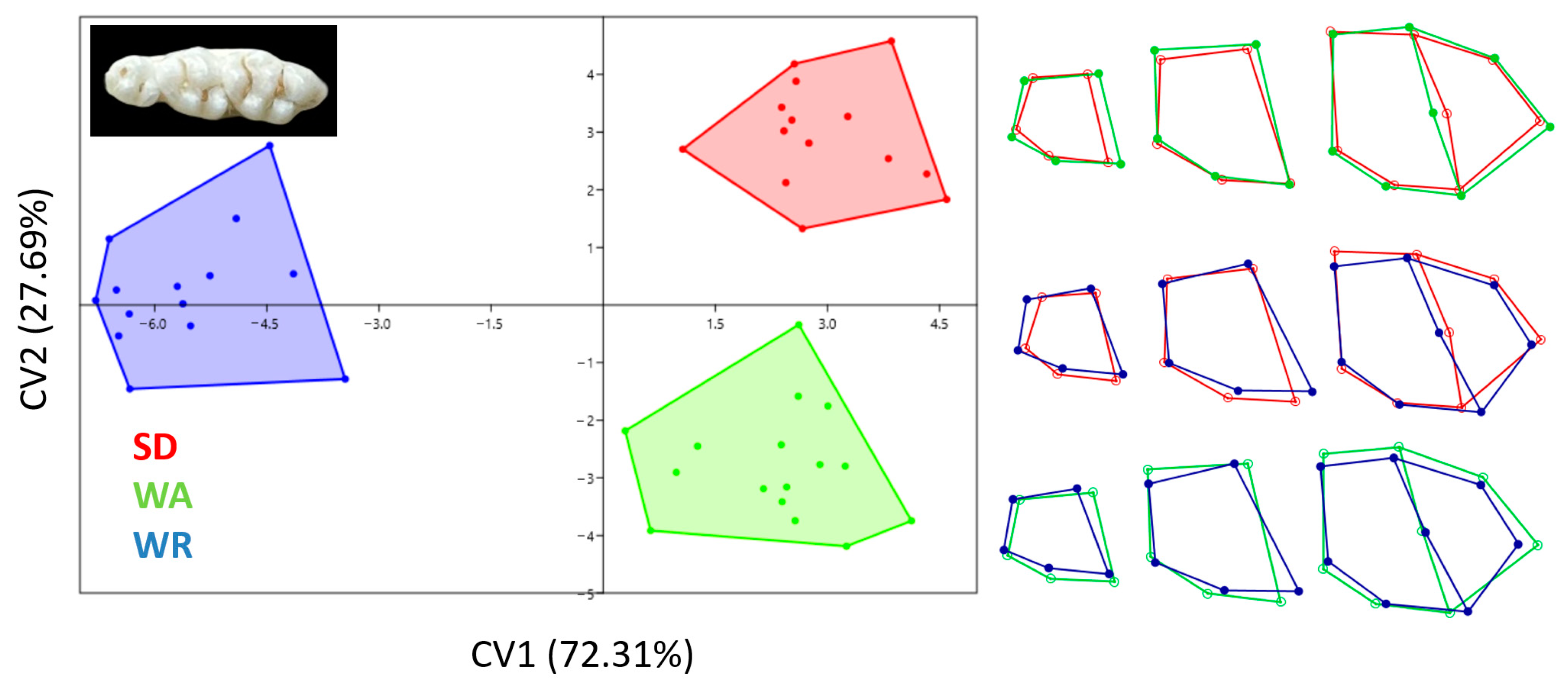 Animals 14 01274 g010