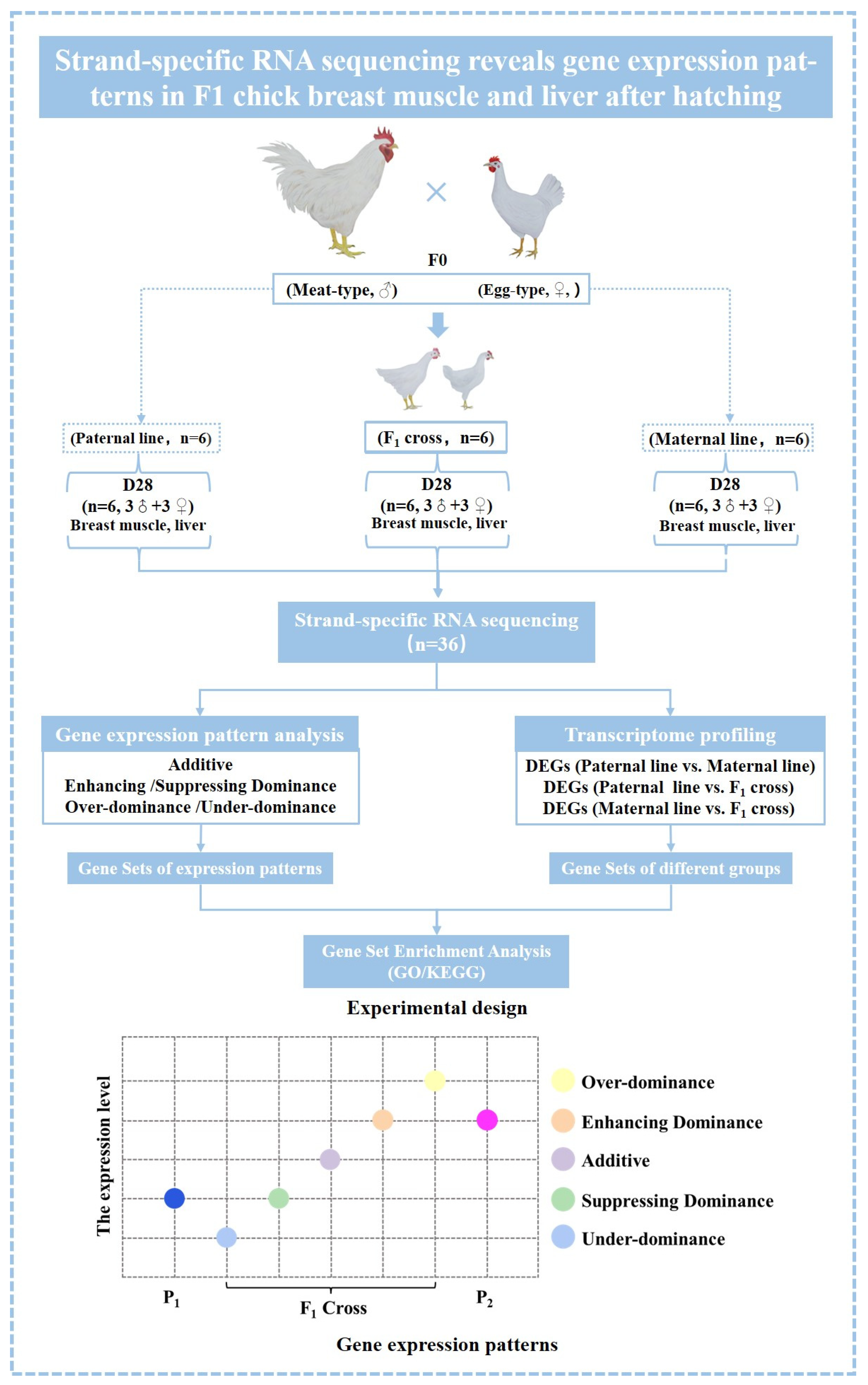 Animals 14 01335 g001