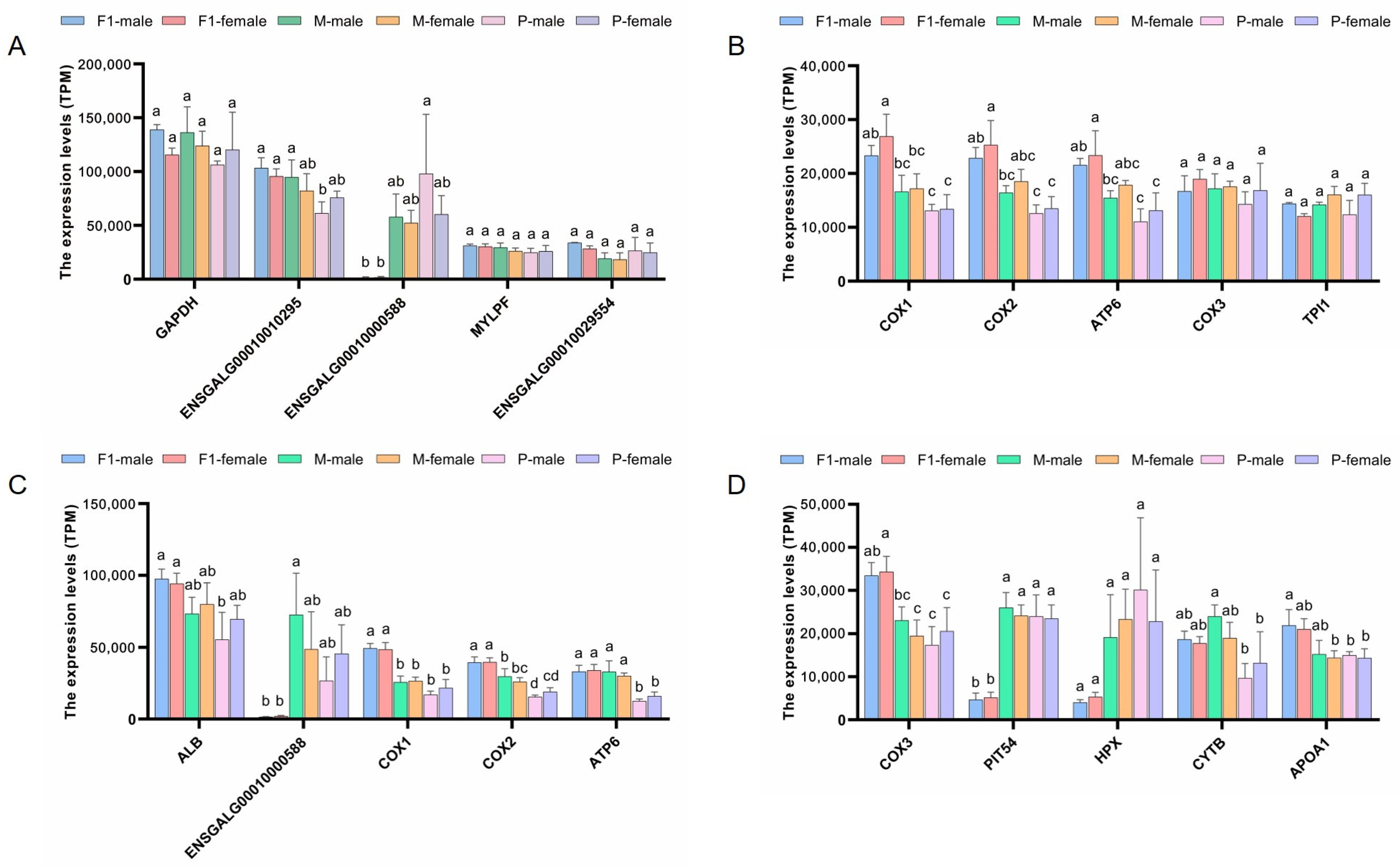 Animals 14 01335 g002