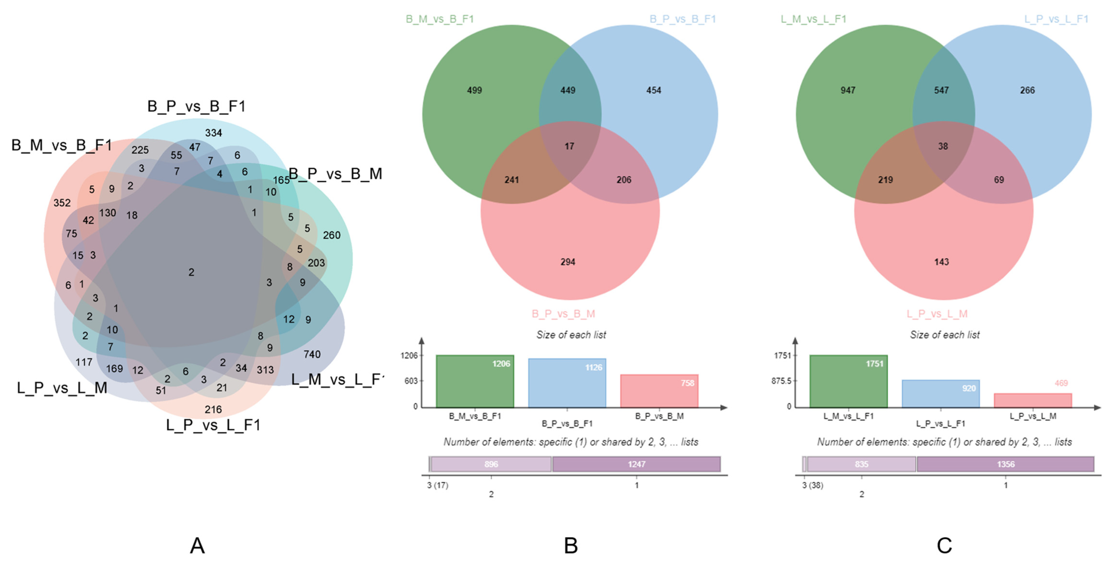 Animals 14 01335 g003