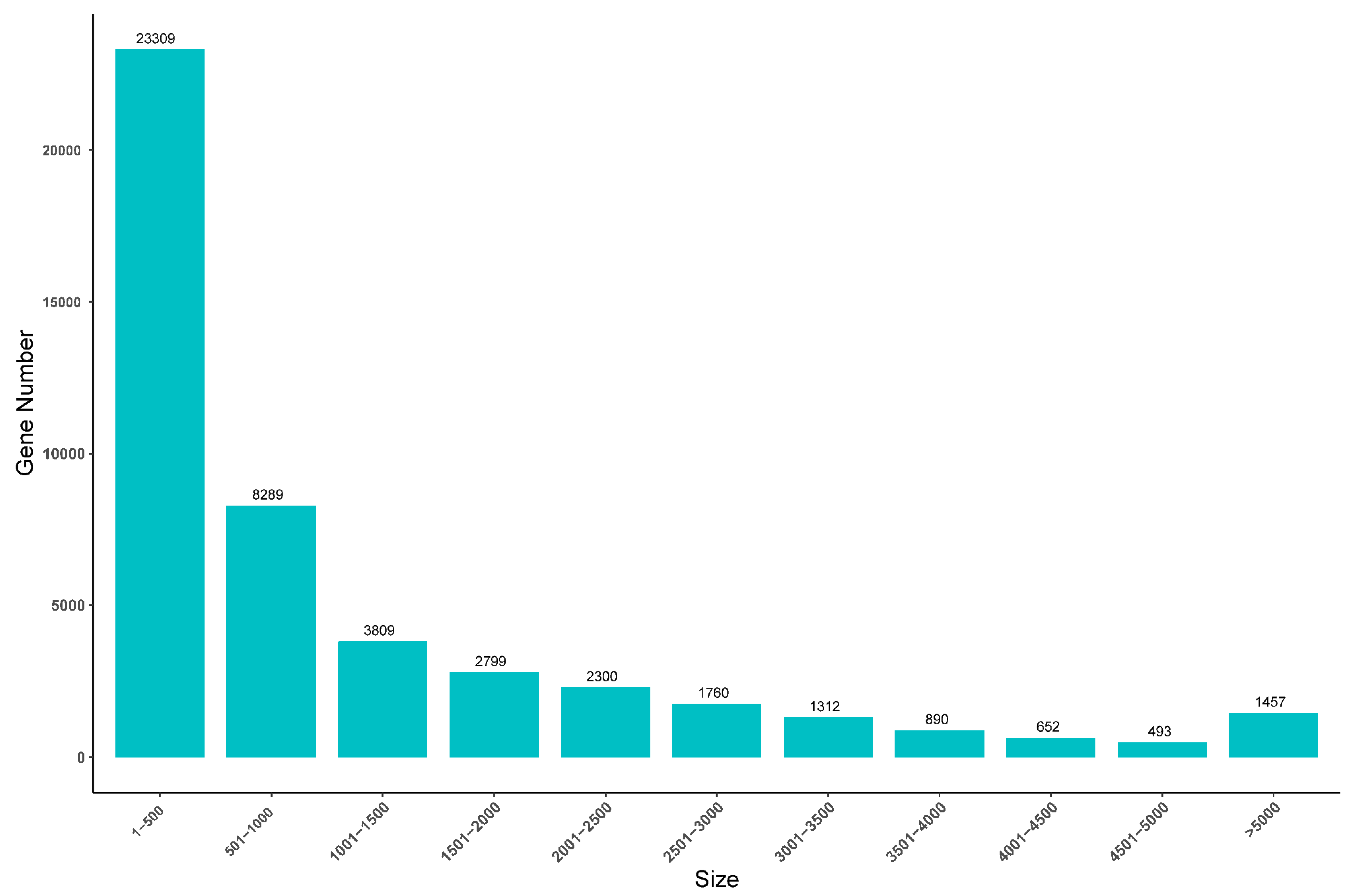 Animals 14 01346 g001