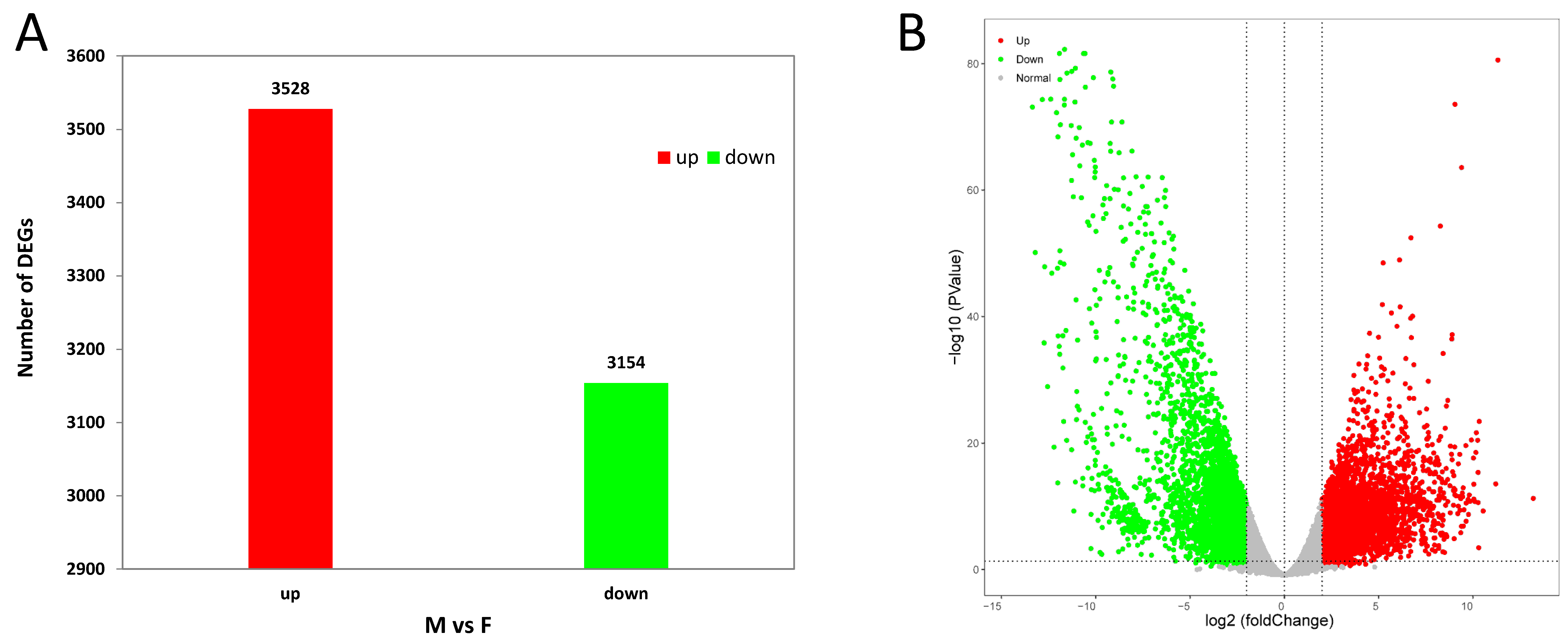 Animals 14 01346 g004