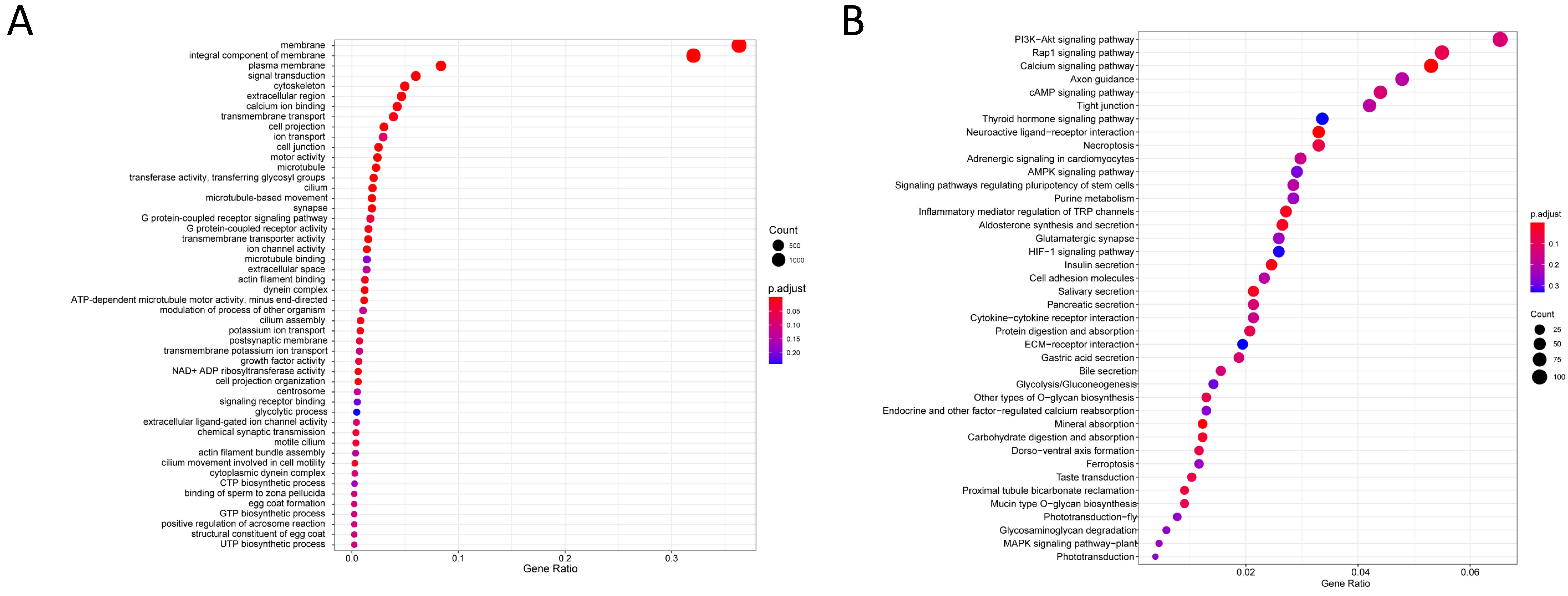 Animals 14 01346 g005
