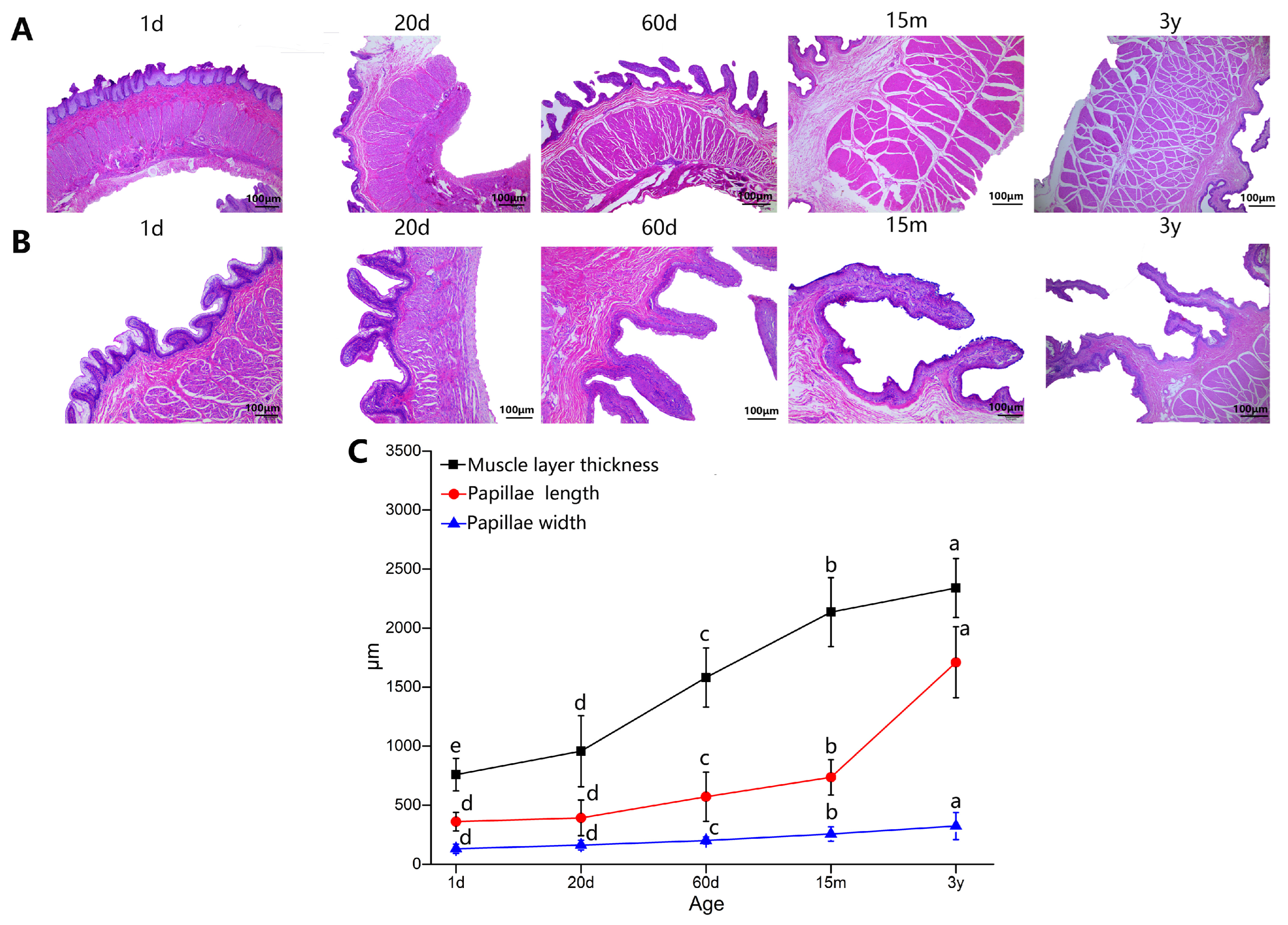 Animals 14 01365 g002